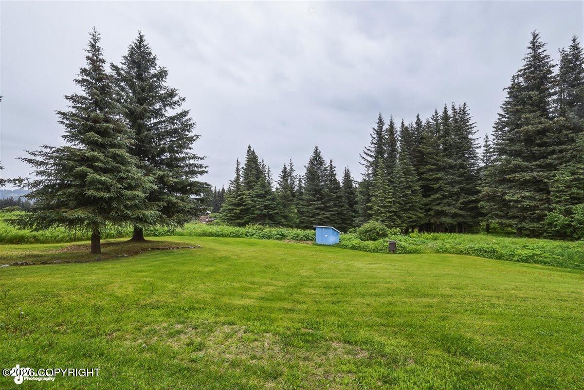 41140 Bidarki Drive Property Photo 47
