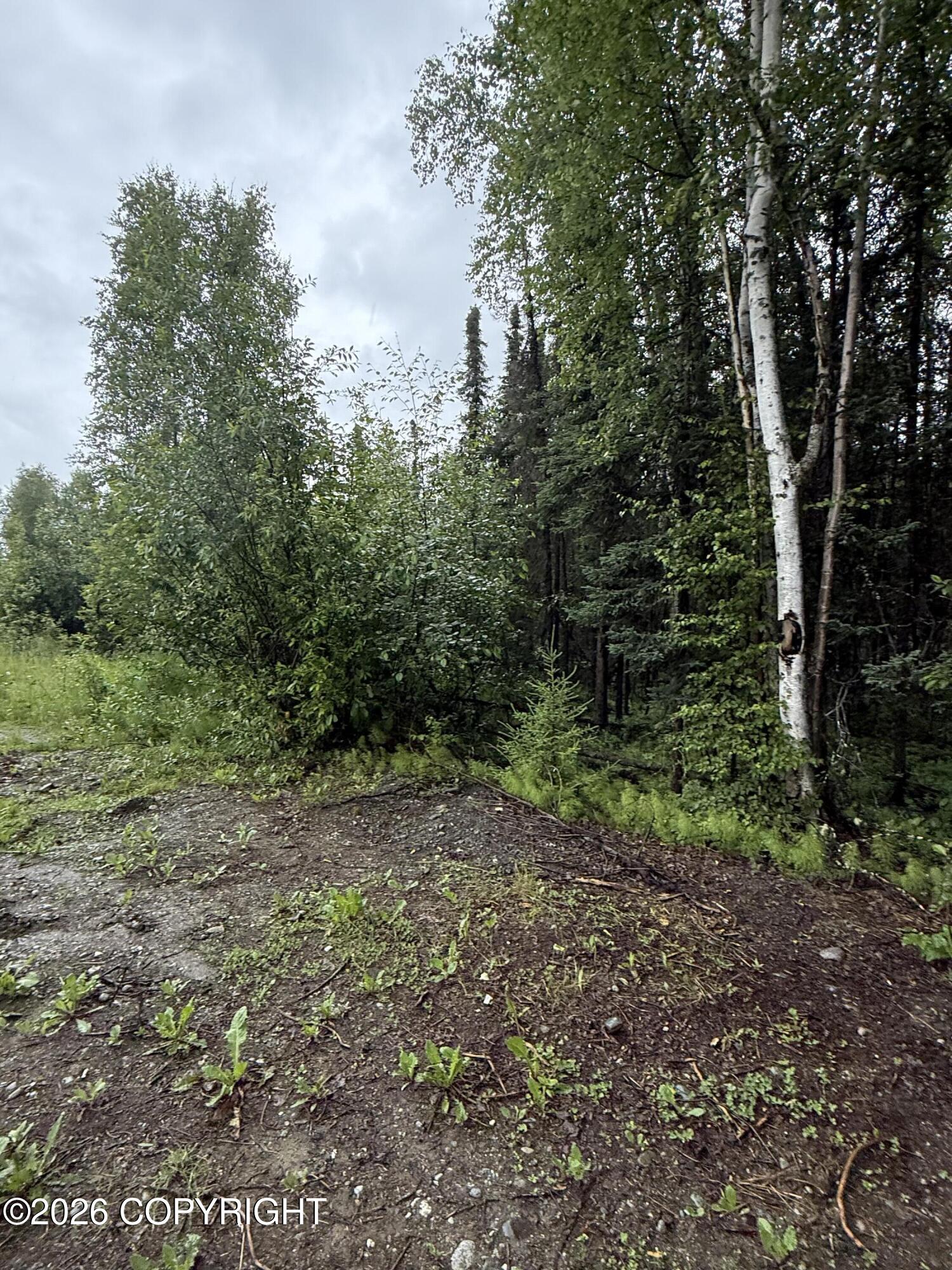 14135 W White Rabbit Circle Property Photo 1