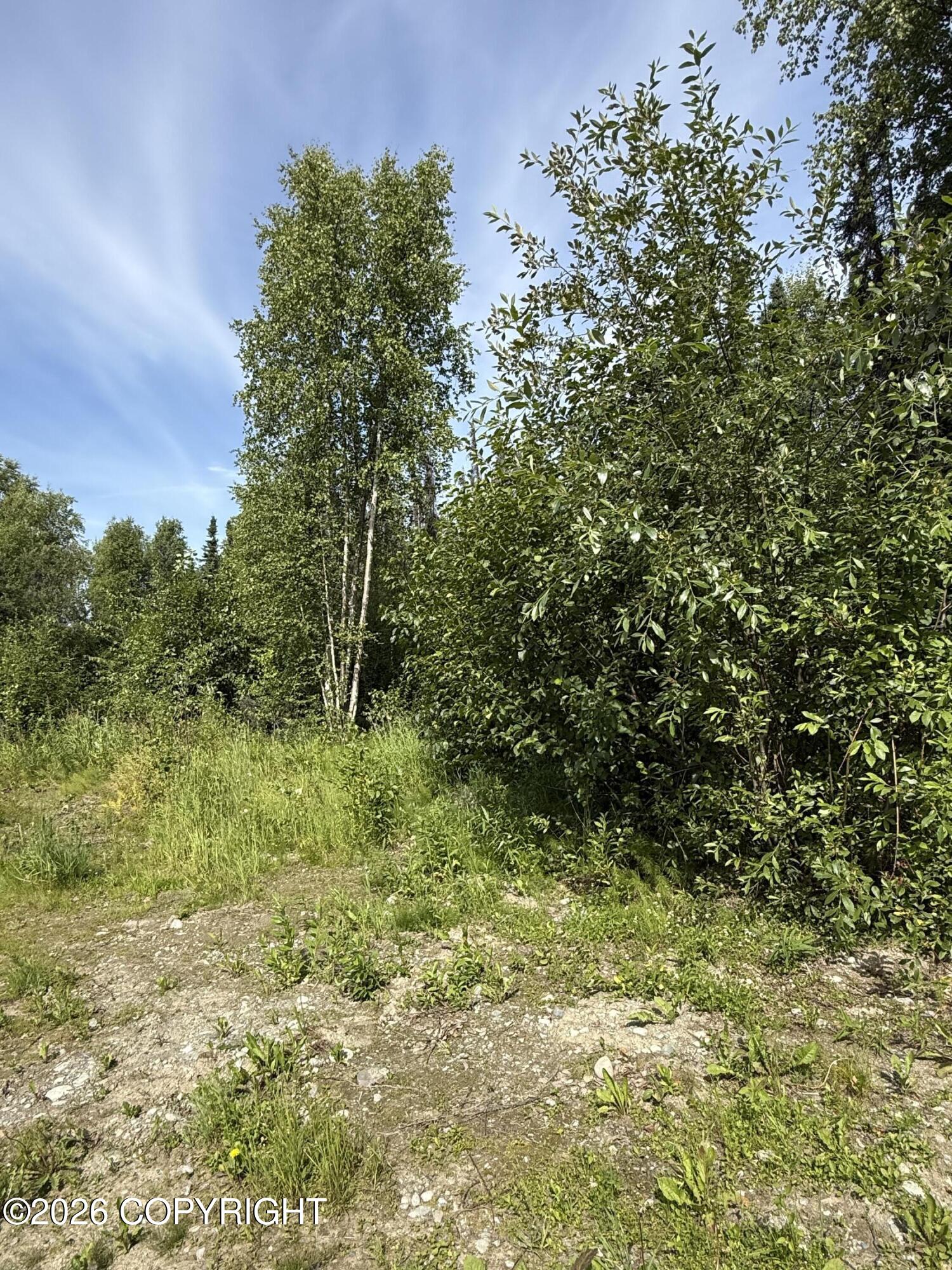 14135 W White Rabbit Circle Property Photo 6