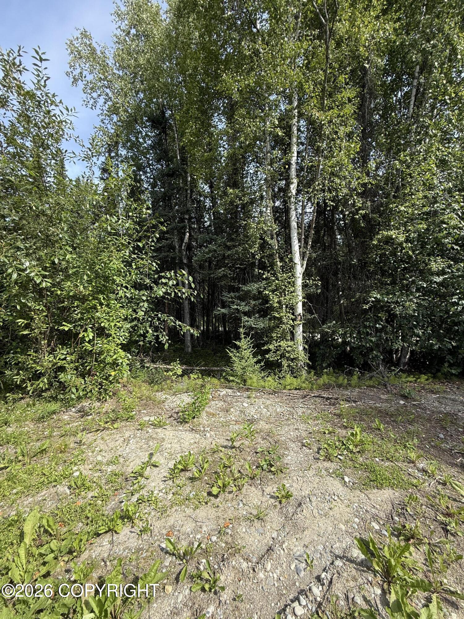 14135 W White Rabbit Circle Property Photo 8