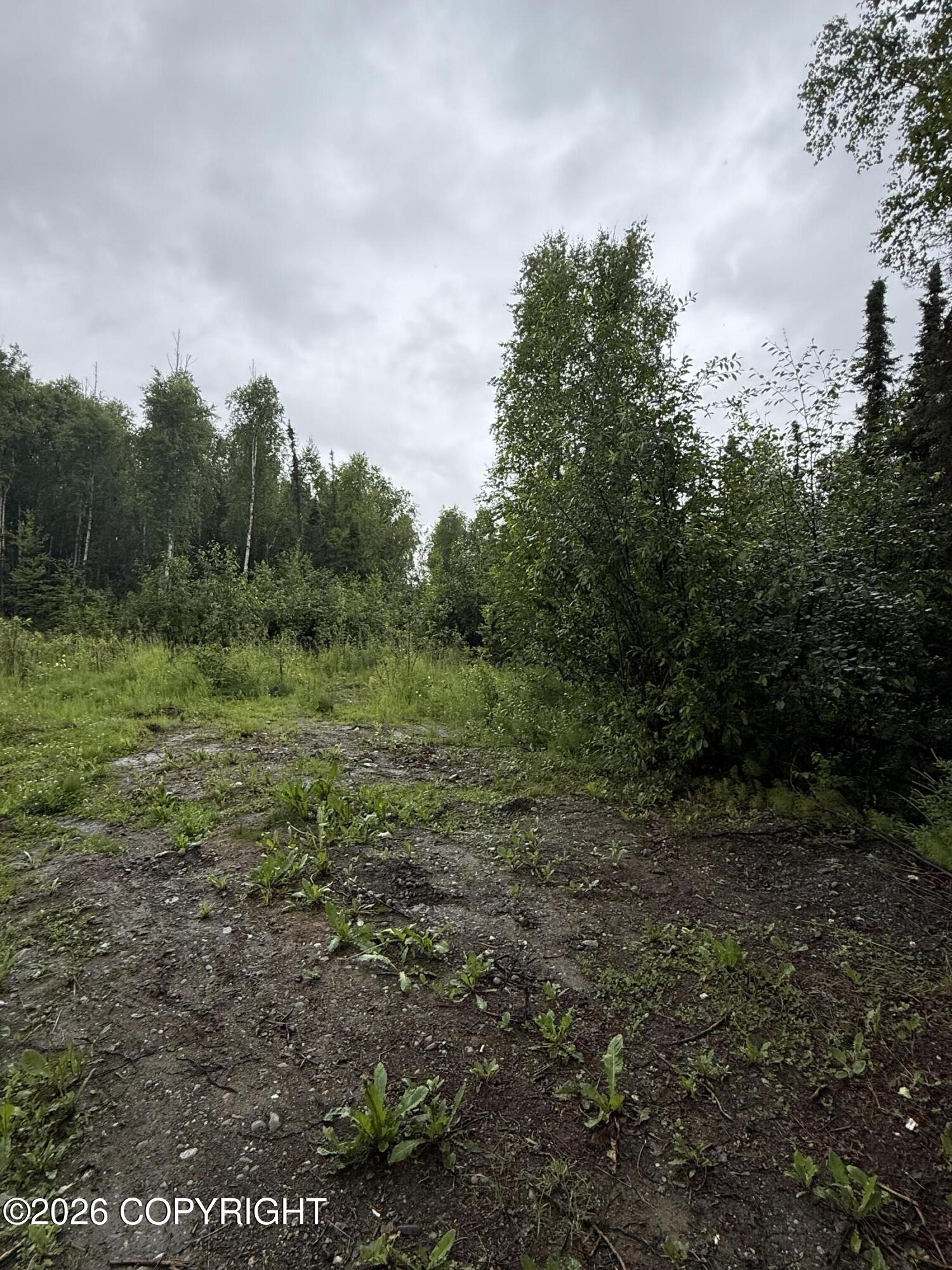 L12 B23 Enchanted Forest Property Photo 2