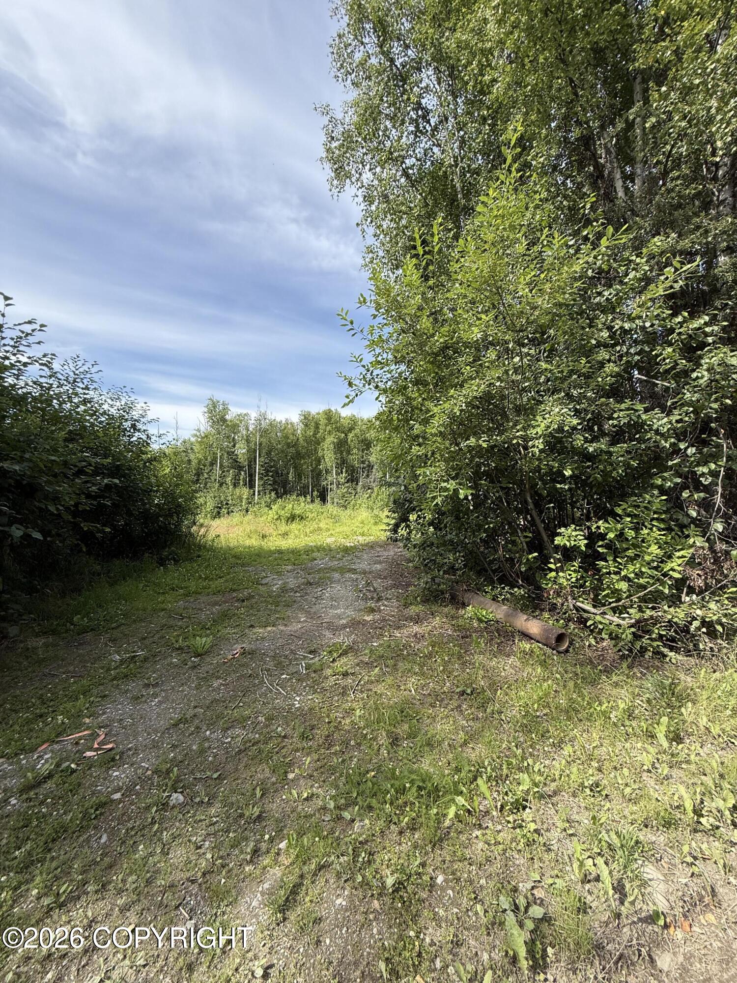 L12 B23 Enchanted Forest Property Photo 3