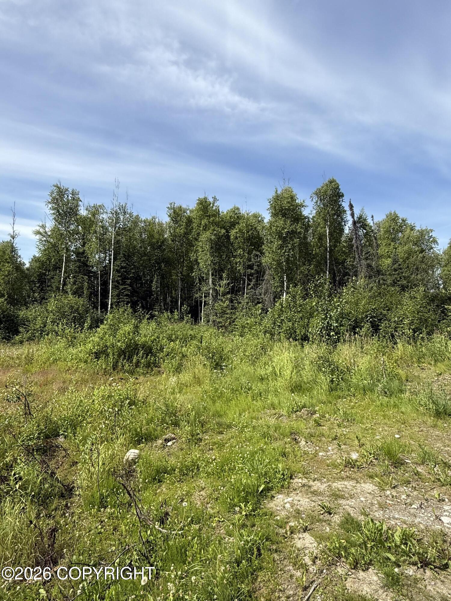 L12 B23 Enchanted Forest Property Photo 4