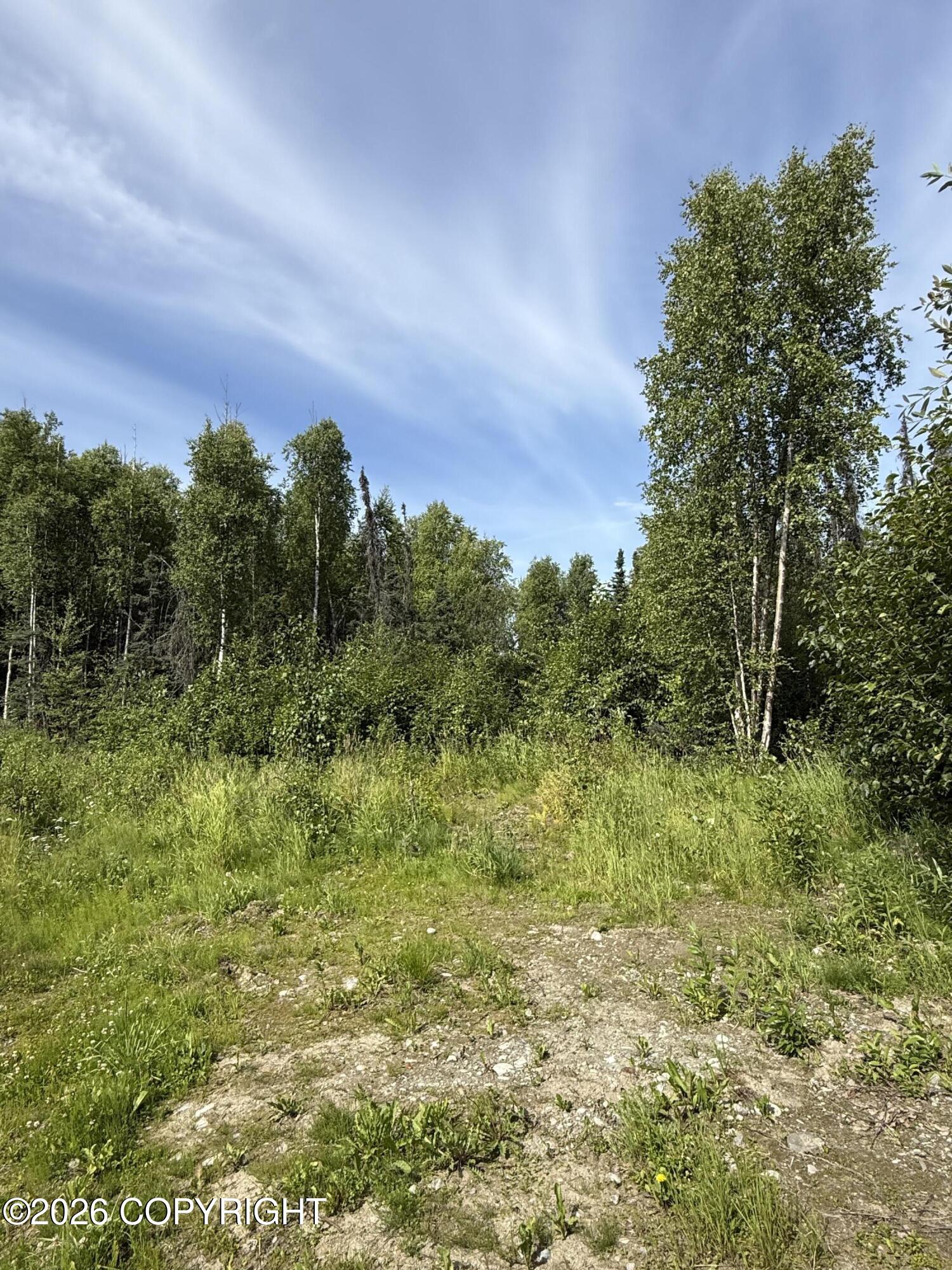 L12 B23 Enchanted Forest Property Photo 5