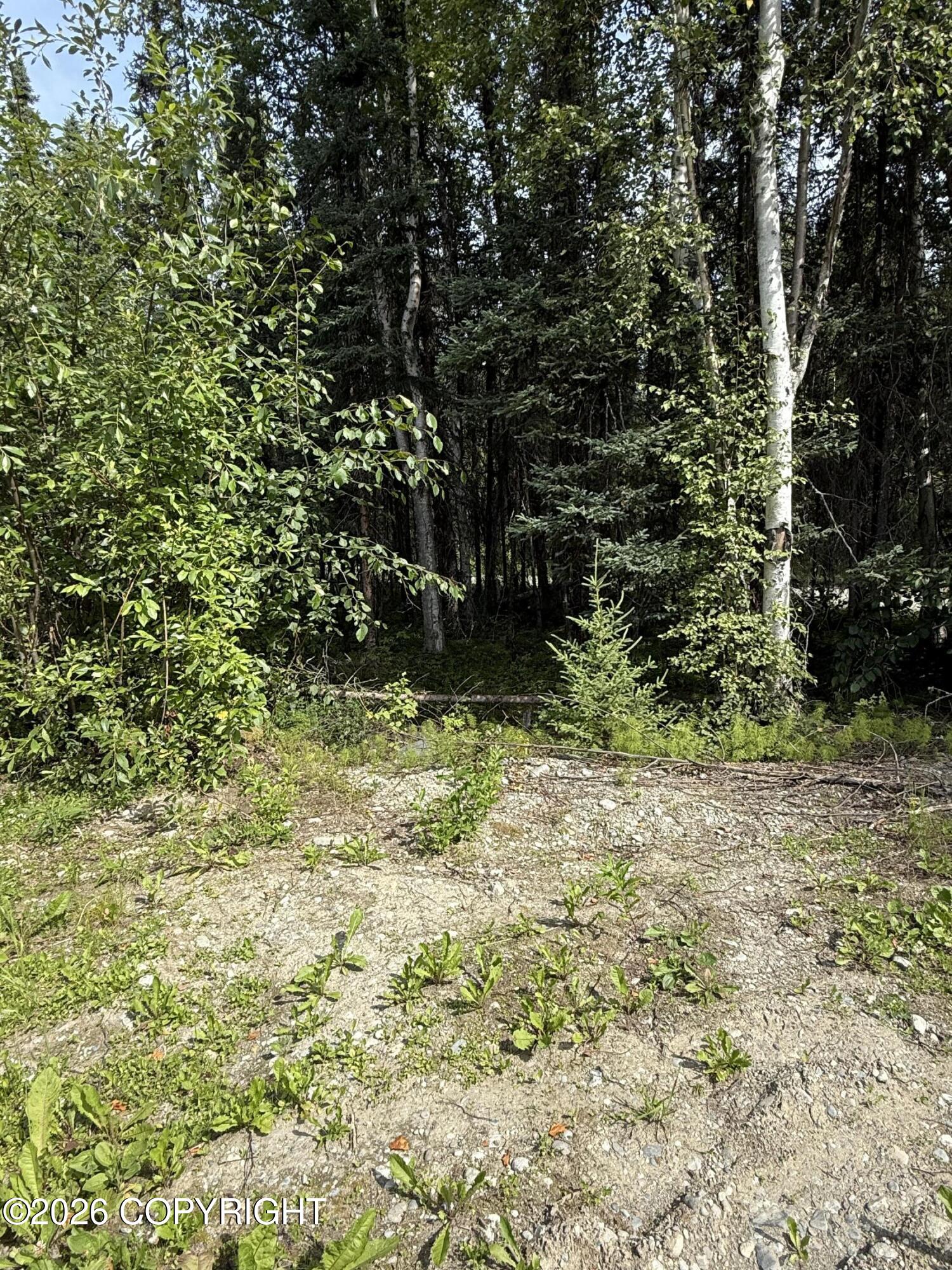 L12 B23 Enchanted Forest Property Photo 7