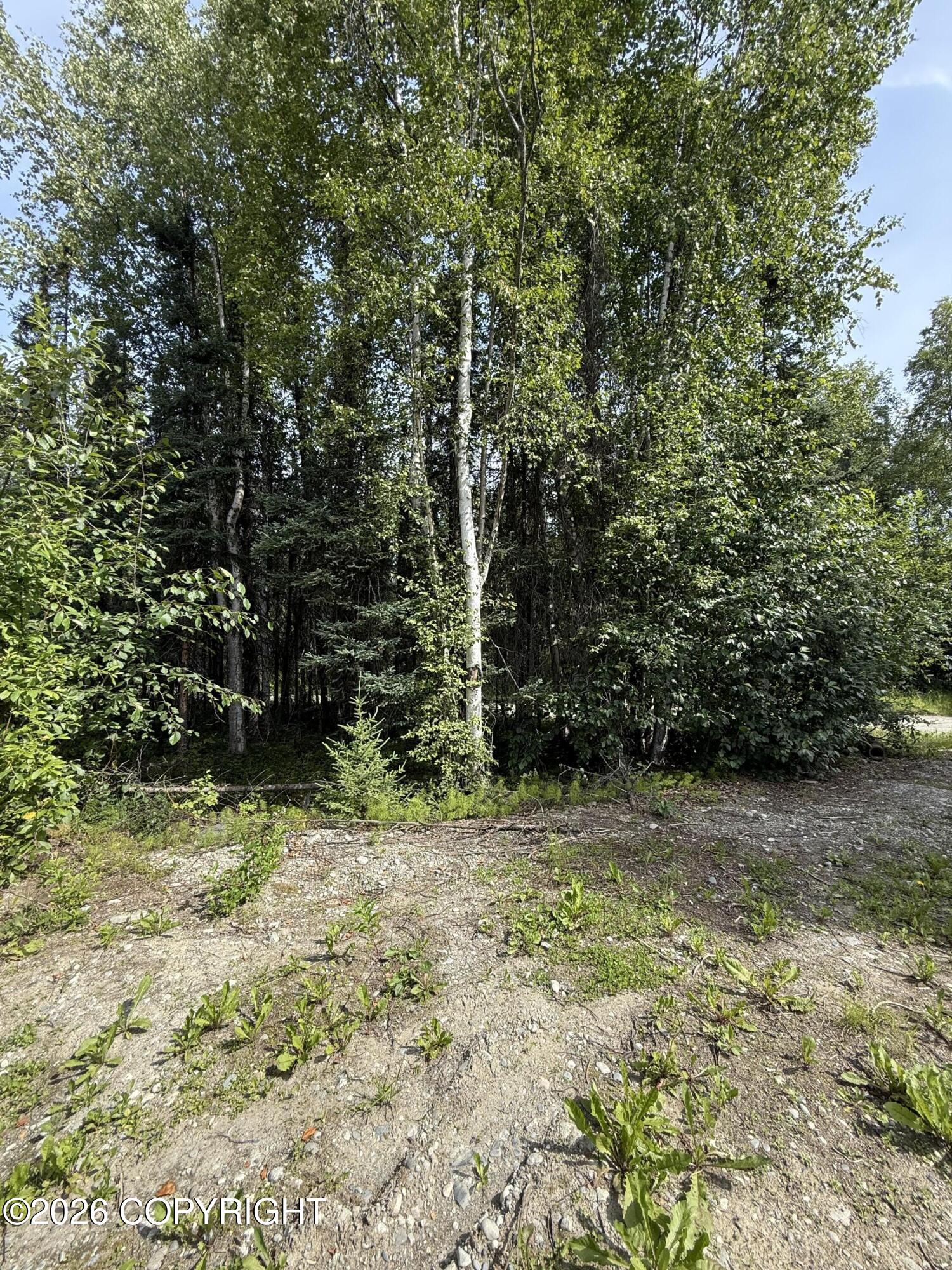 L12 B23 Enchanted Forest Property Photo 9