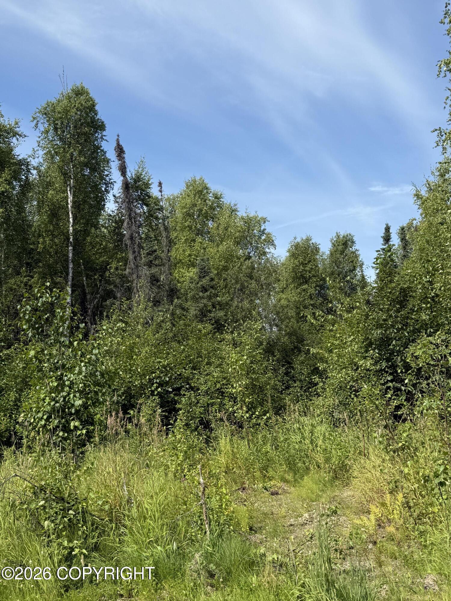 L12 B23 Enchanted Forest Property Photo 11