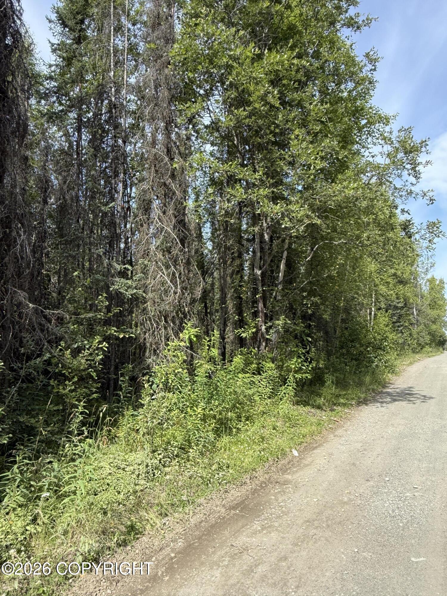 L12 B23 Enchanted Forest Property Photo 14