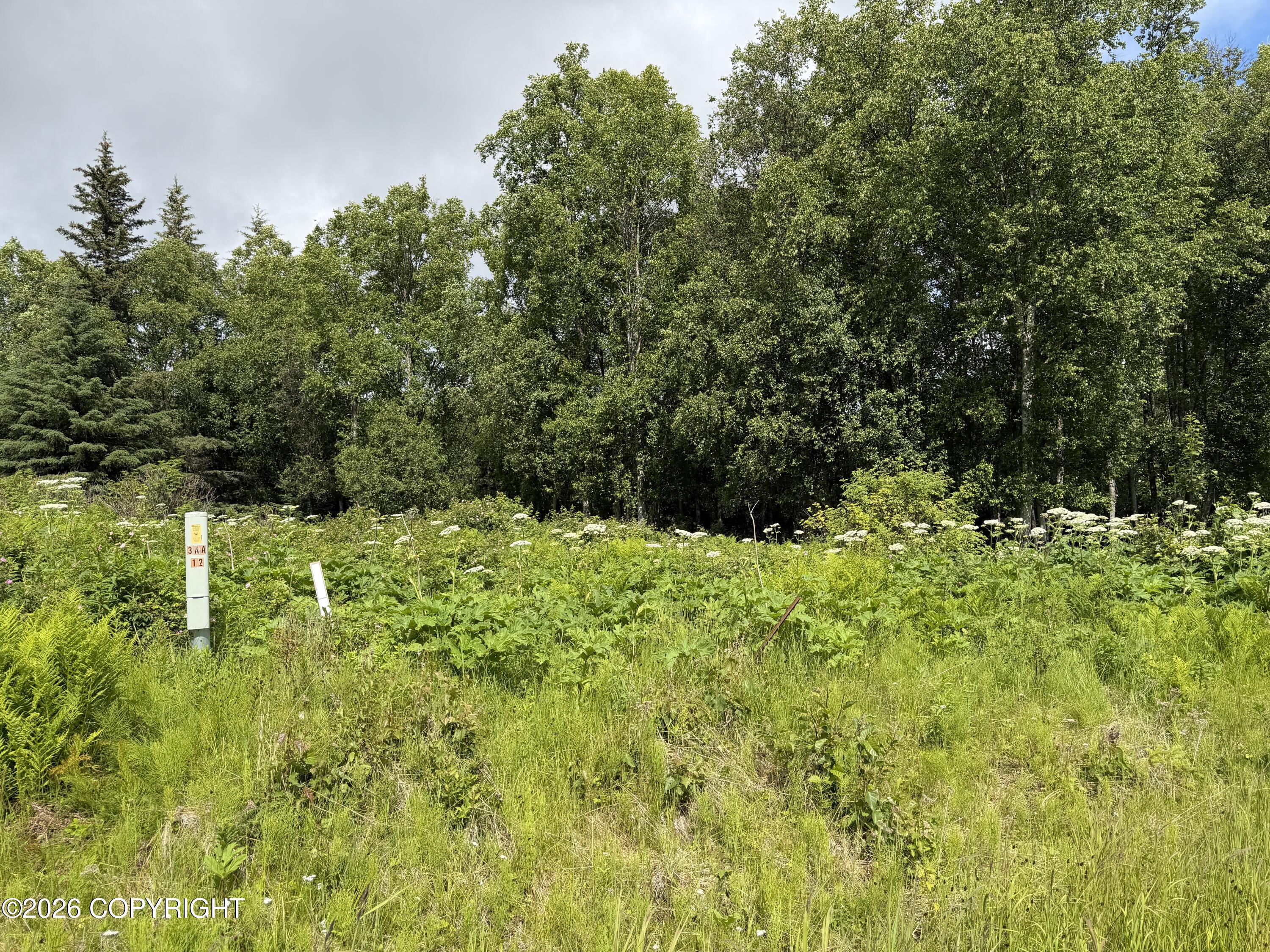 4730 Craftsman Road Property Photo 4