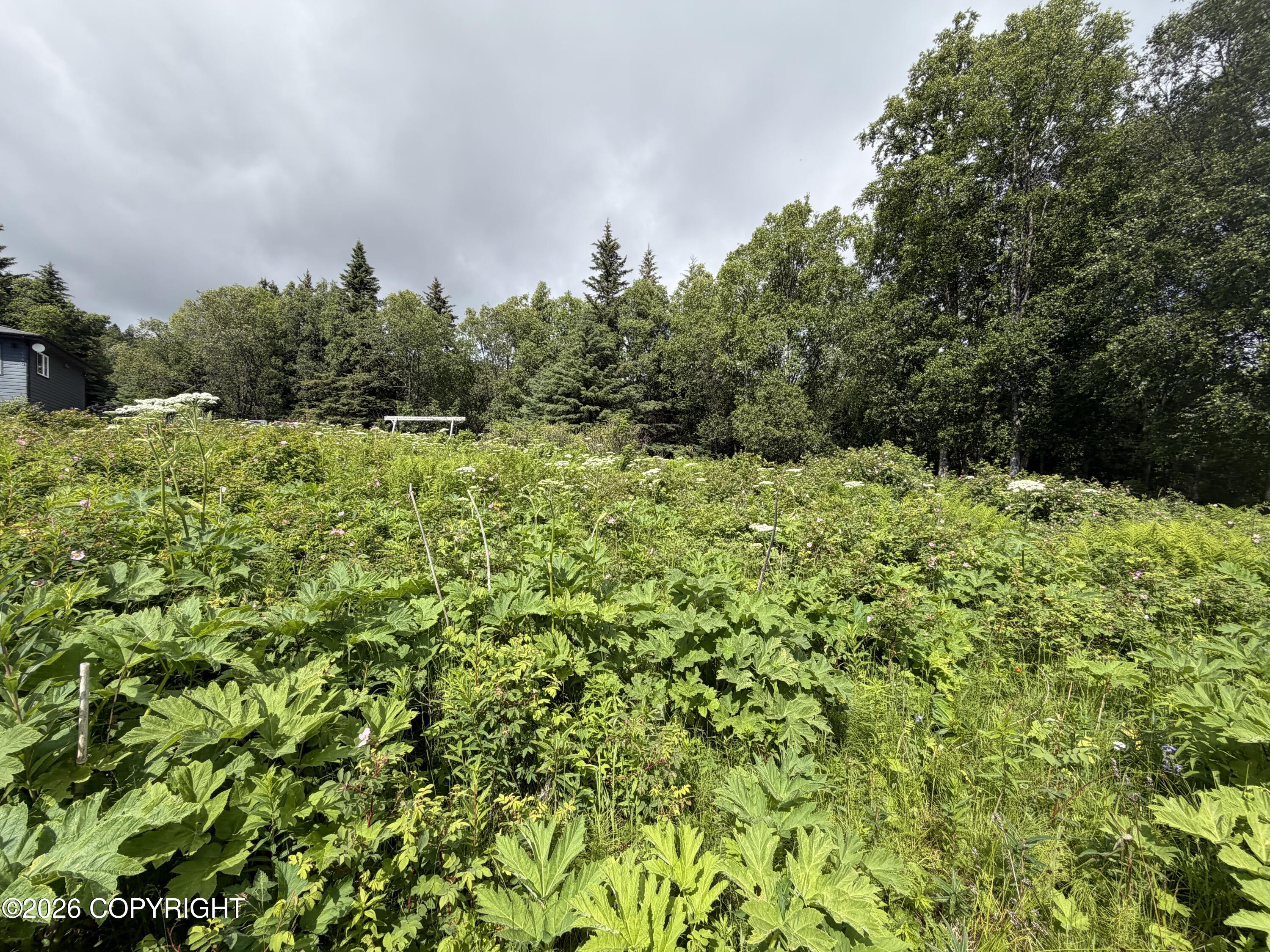 4730 Craftsman Road Property Photo 8