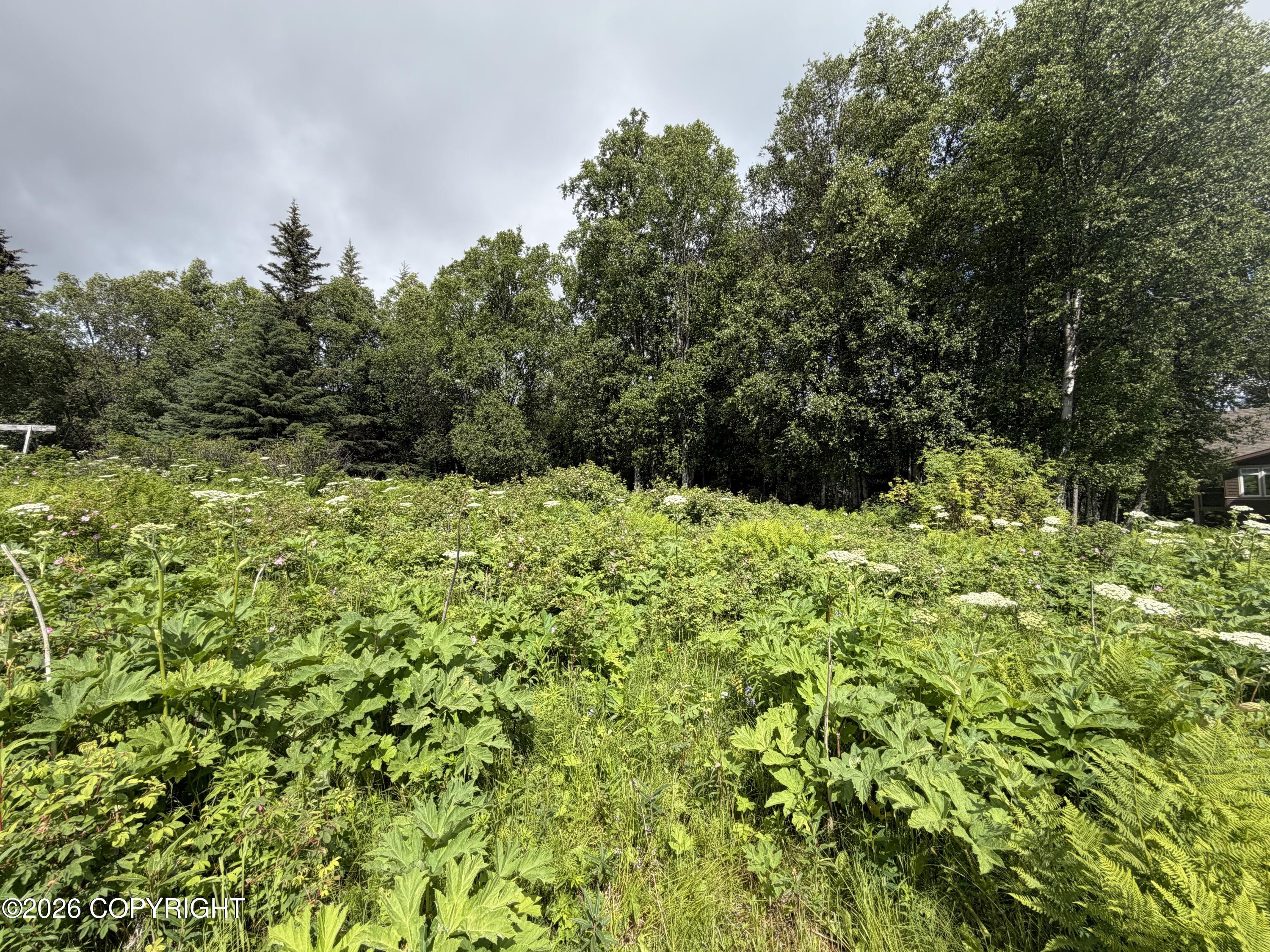 4730 Craftsman Road Property Photo 11