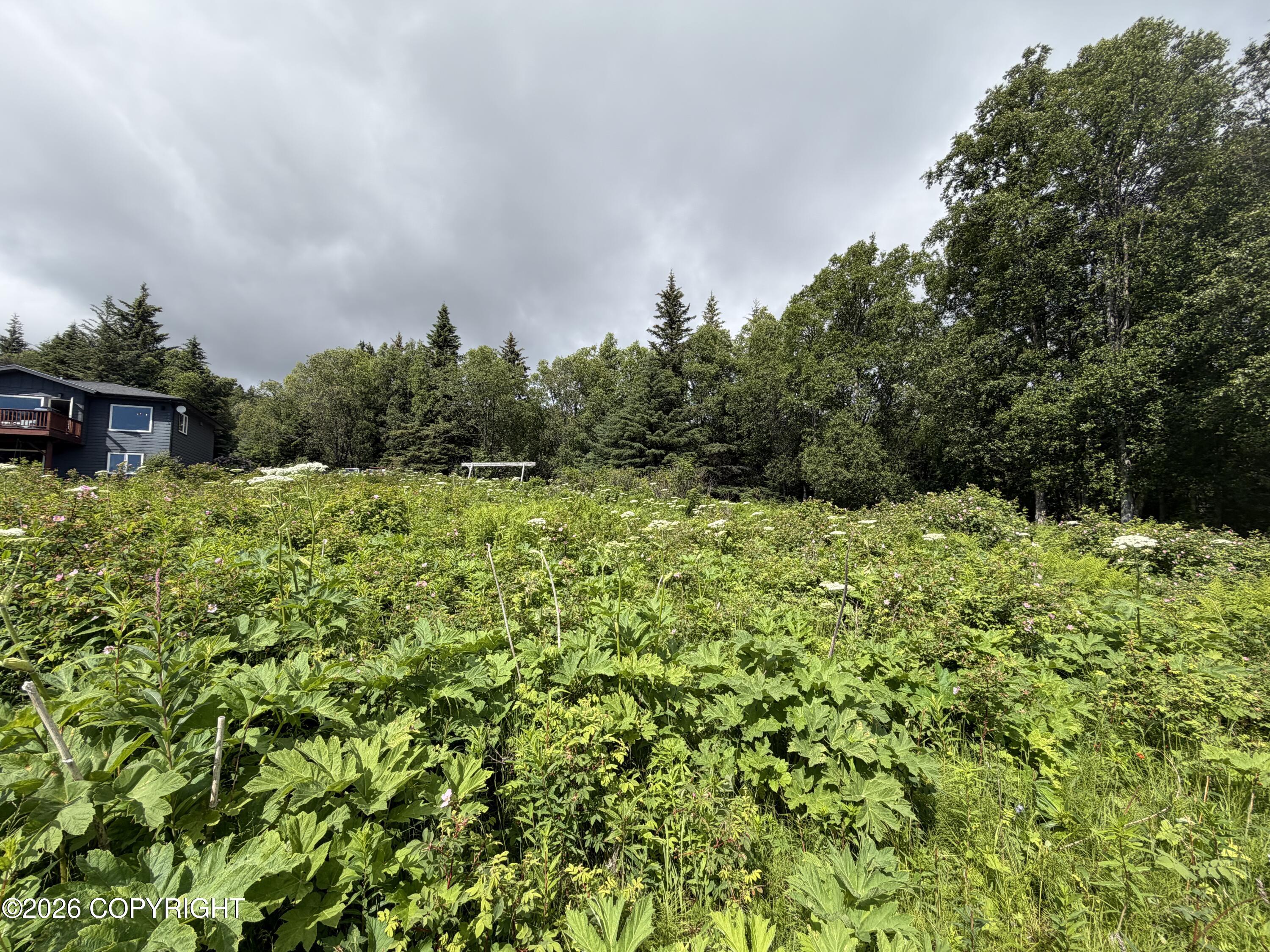 4730 Craftsman Road Property Photo 12