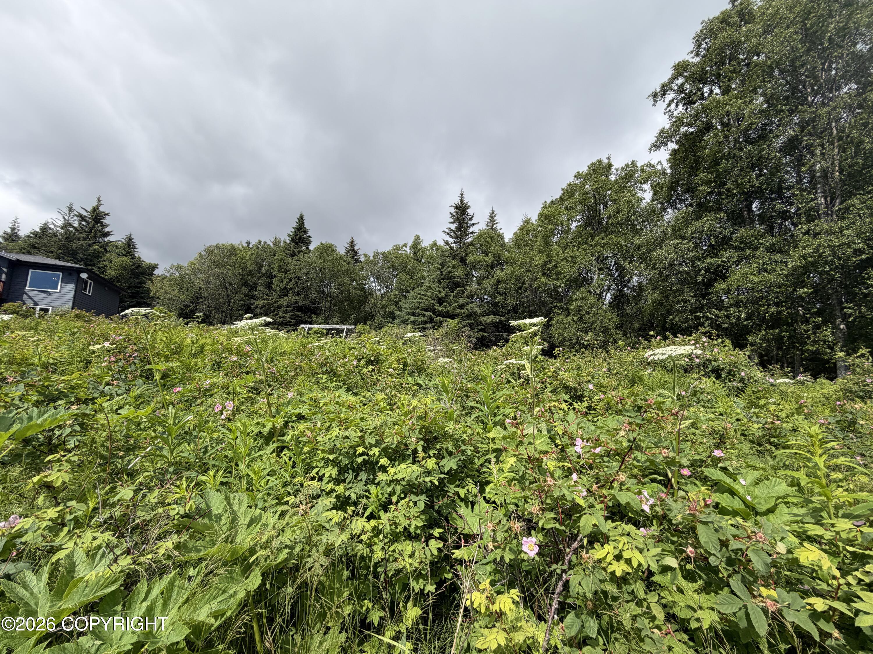 4730 Craftsman Road Property Photo 14
