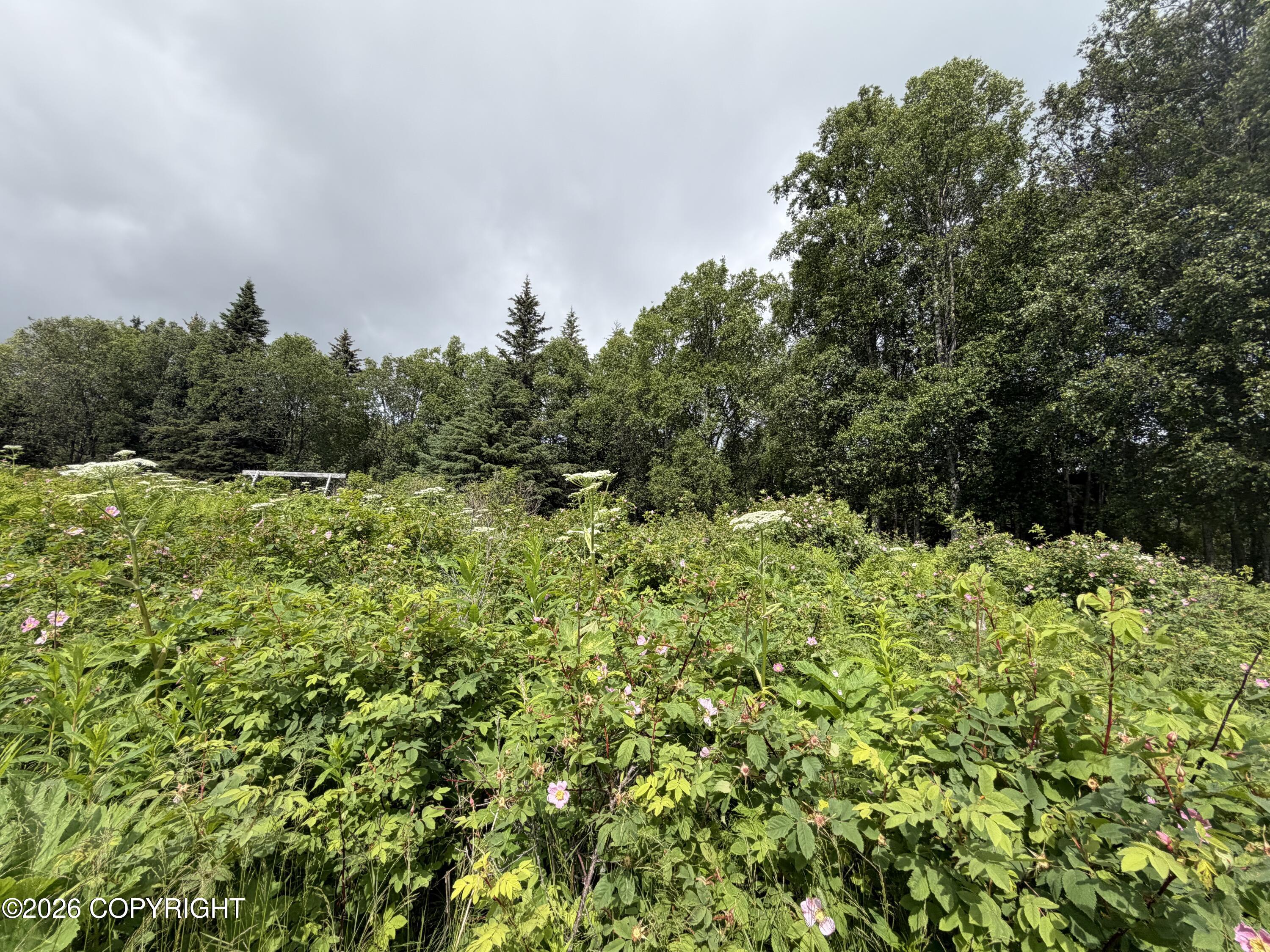 4730 Craftsman Road Property Photo 15