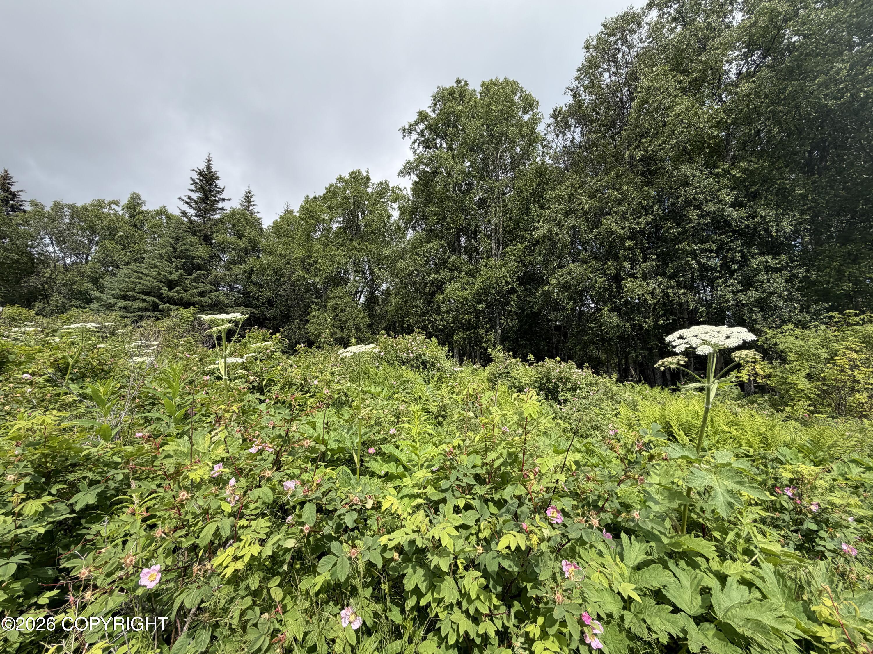 4730 Craftsman Road Property Photo 16