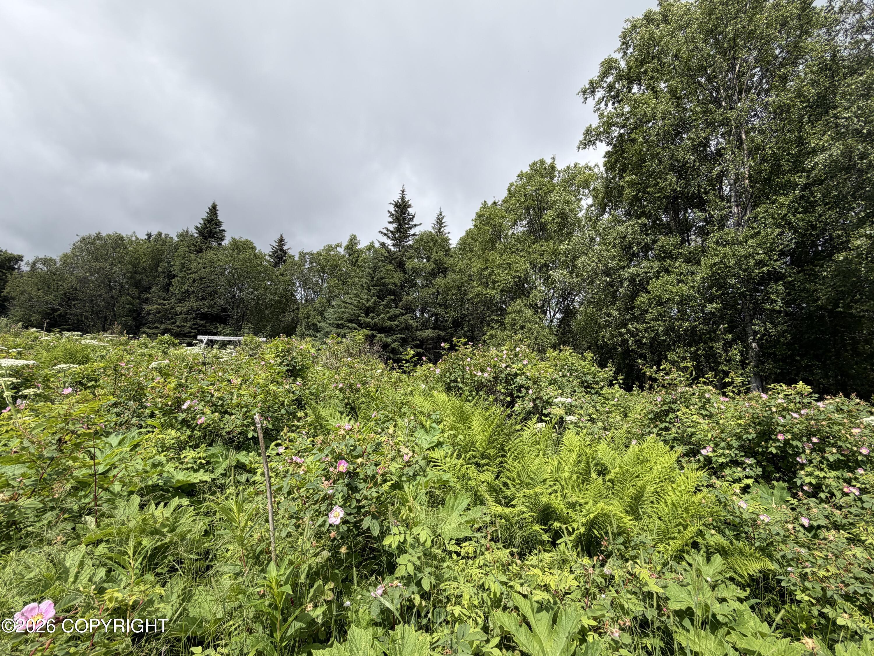 4730 Craftsman Road Property Photo 19