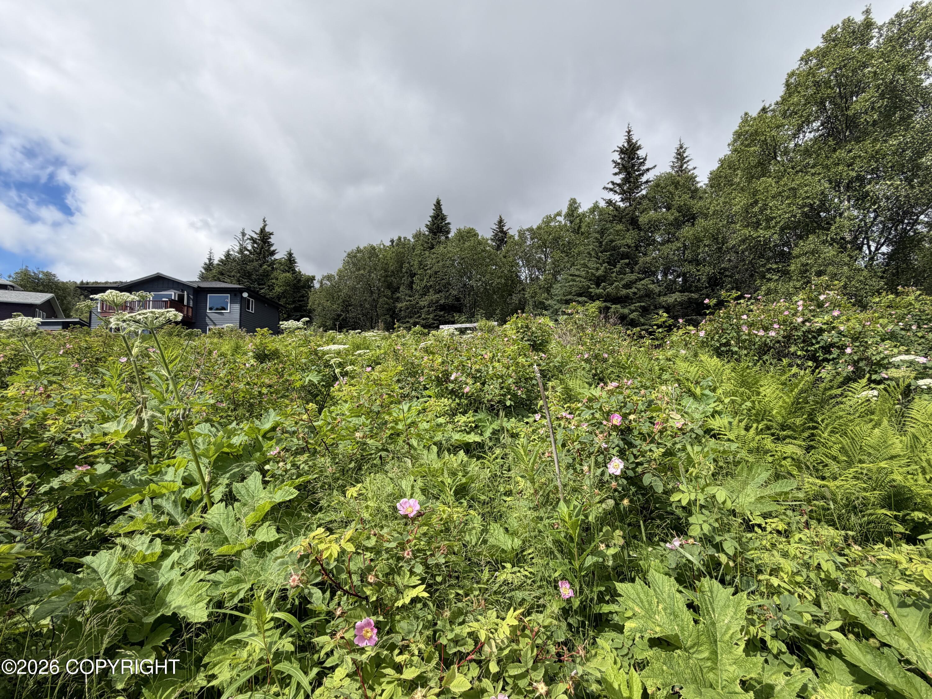 4730 Craftsman Road Property Photo 20