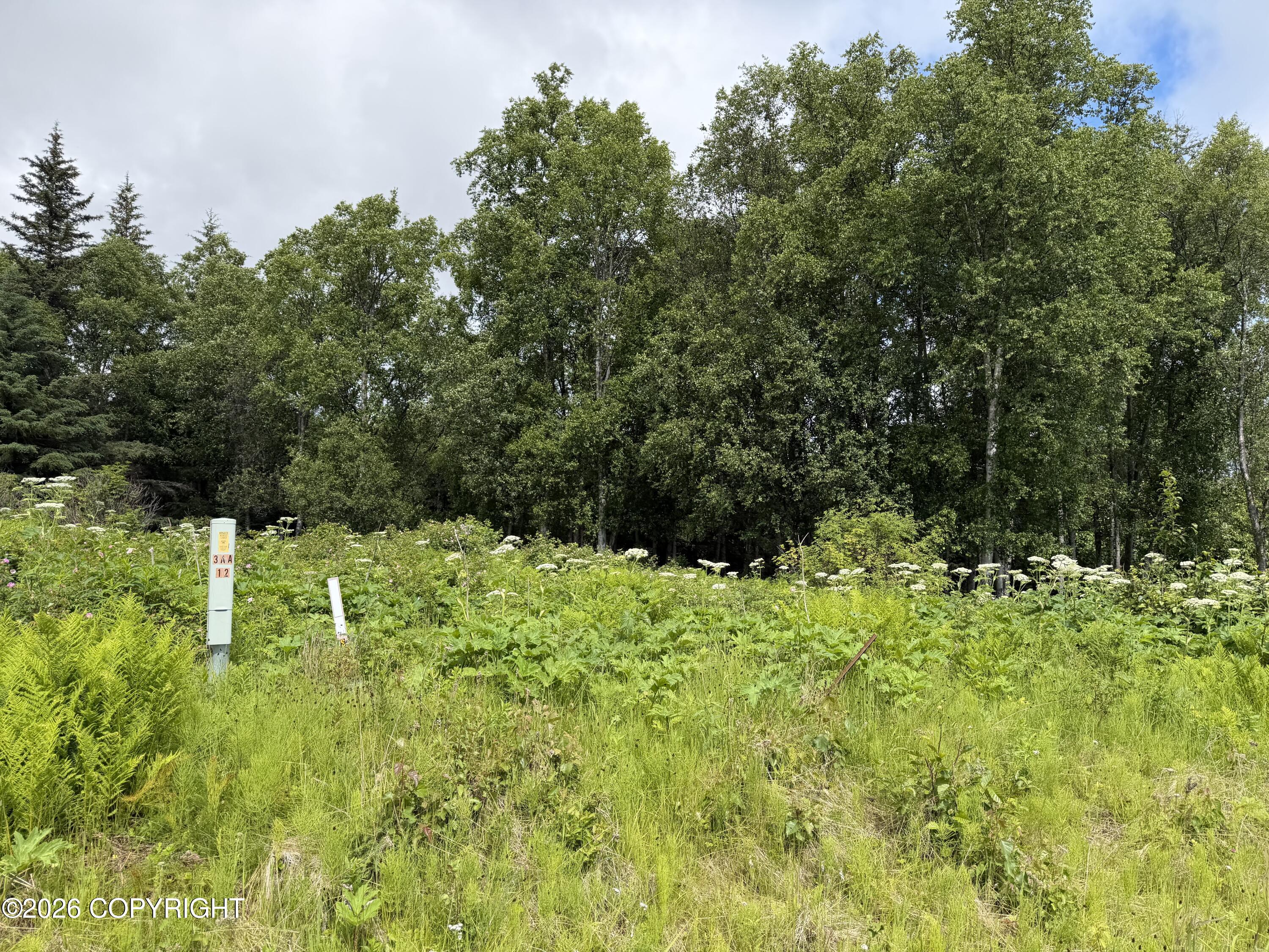 4730 Craftsman Road Property Photo 26