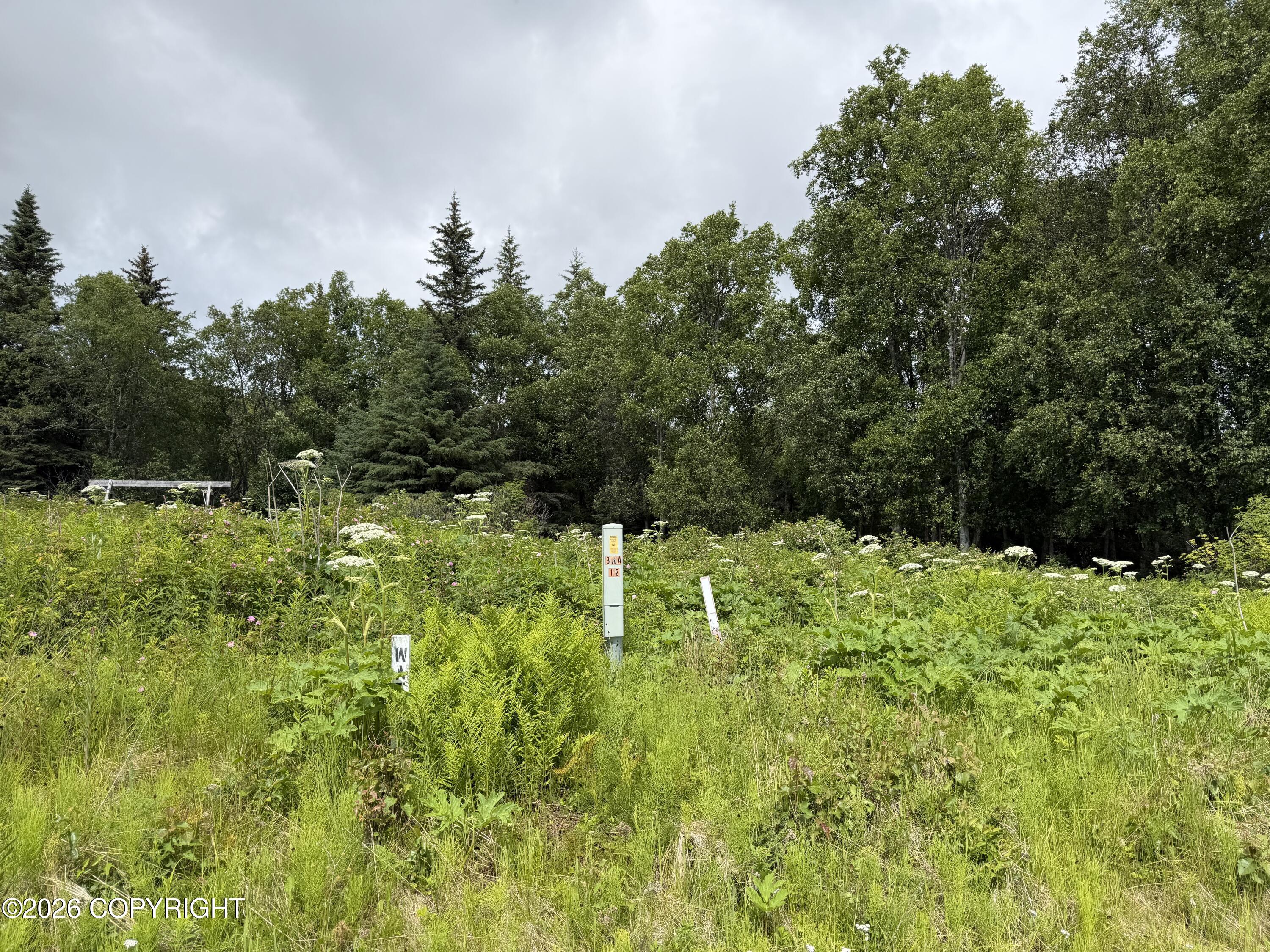 4730 Craftsman Road Property Photo 27