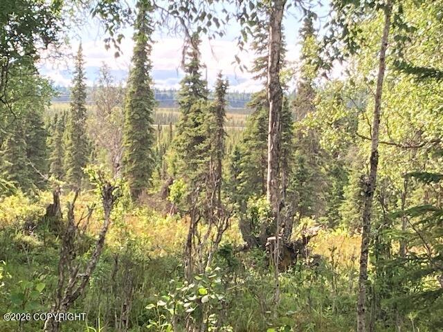 53670 Stol Road Property Photo 4