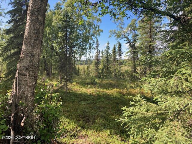 53670 Stol Road Property Photo 7