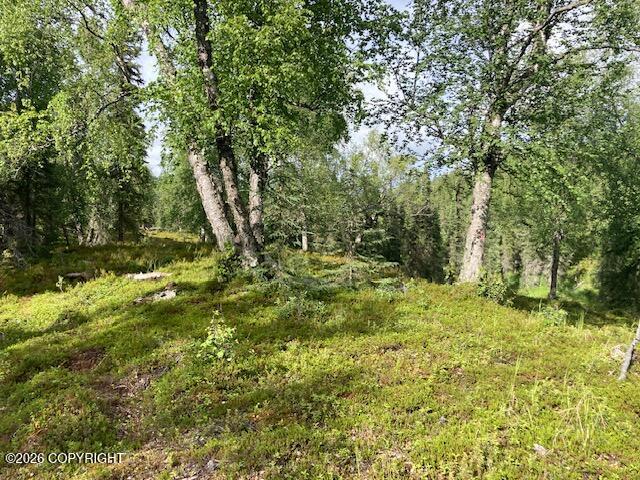 53670 Stol Road Property Photo 8