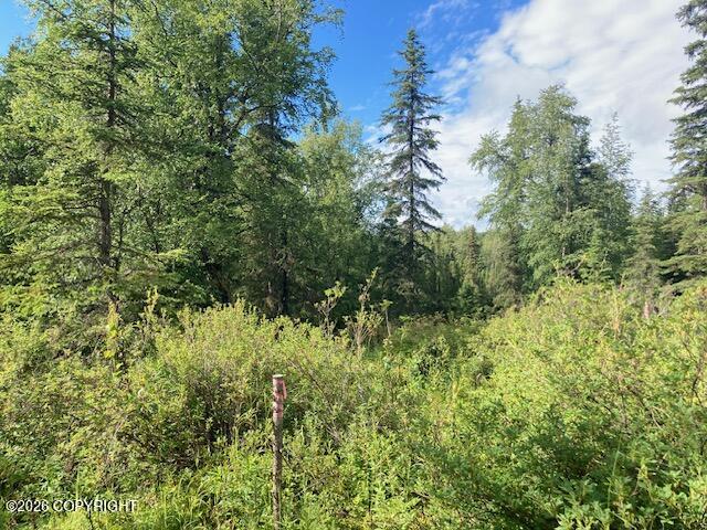 53670 Stol Road Property Photo 9