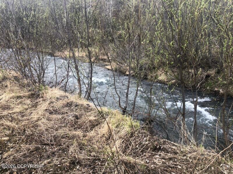 000 Marvel Creek Gold Mine North Property Photo 2