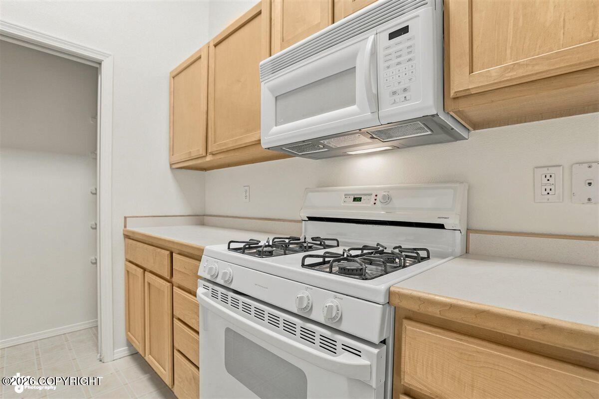 16220 Ursa Minor Circle Property Photo 17