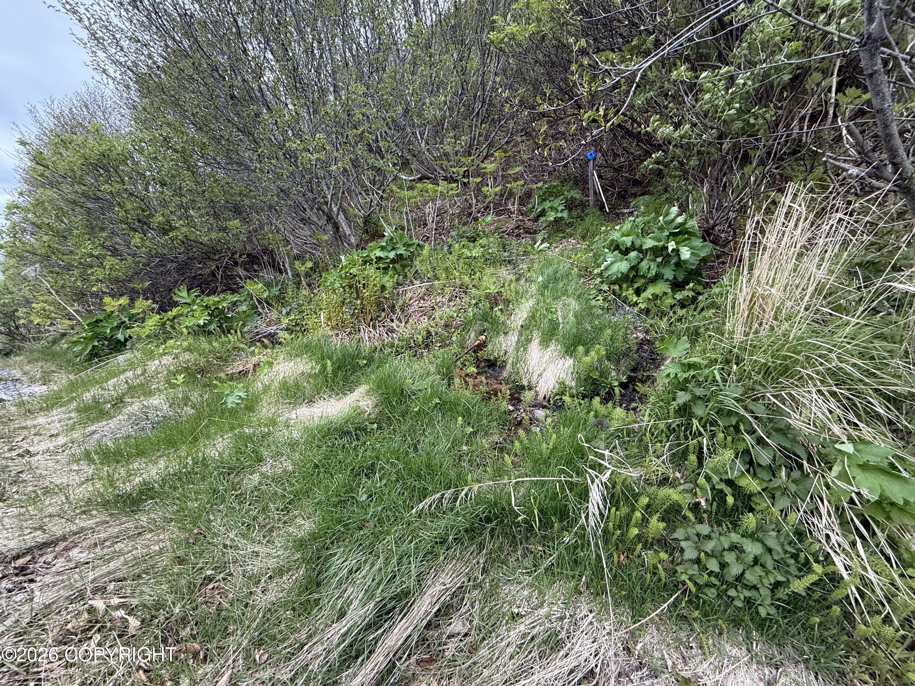 25646 Hawks Beach Rem Sw Property Photo 52
