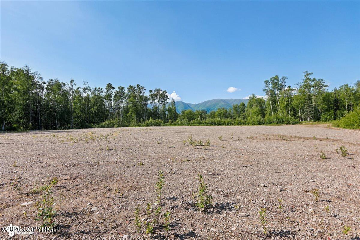 6575 N En Dove Road Property Photo 25