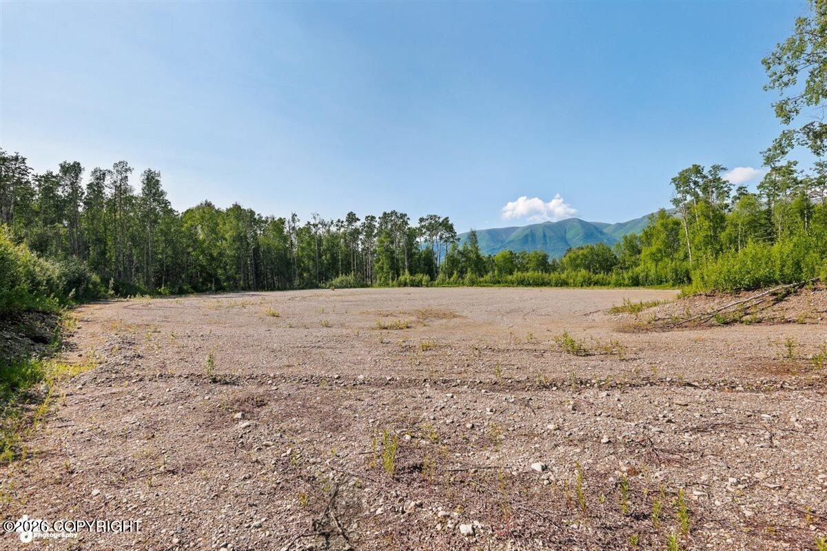 6575 N En Dove Road Property Photo 26