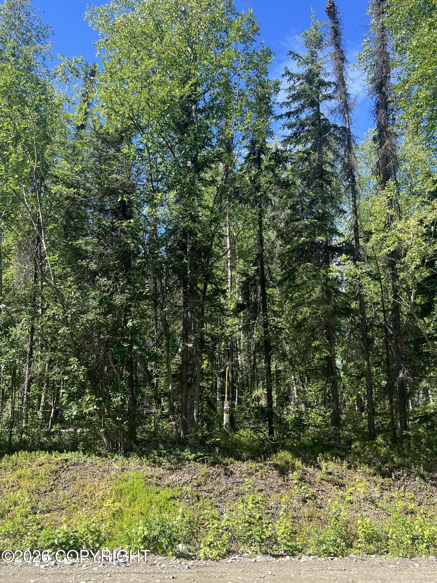 13745 E Wilderness Rim Road Property Photo 3
