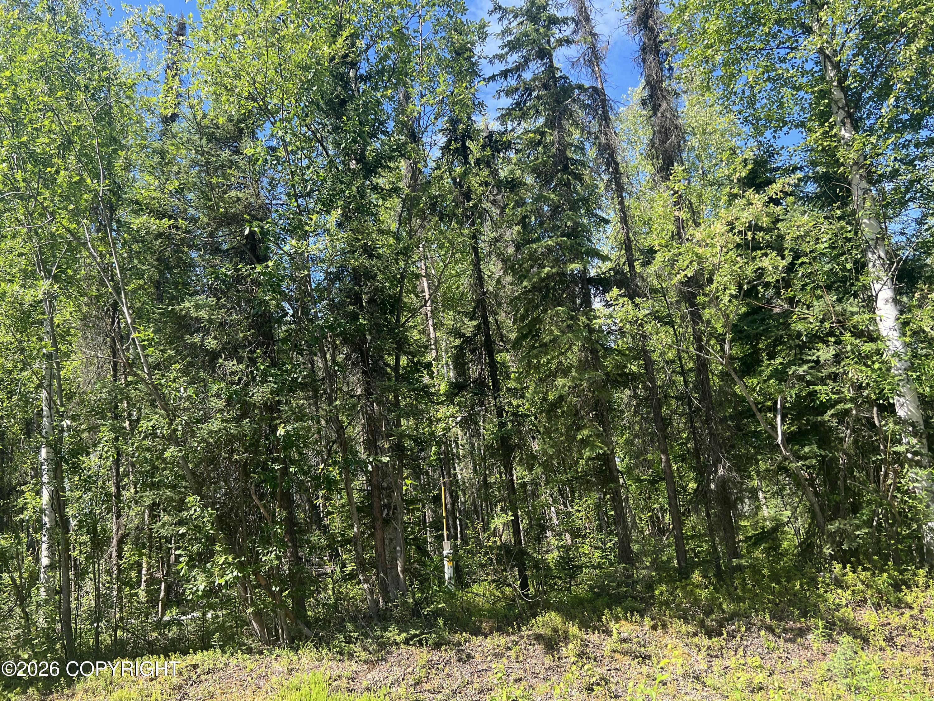 13745 E Wilderness Rim Road Property Photo 4