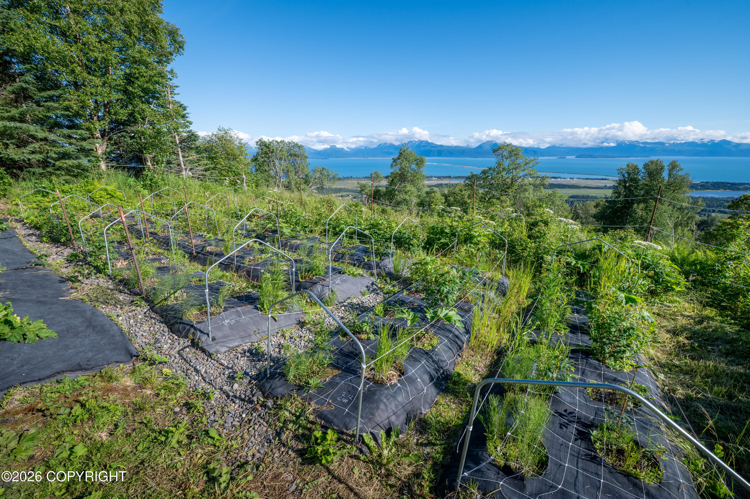 5655 Scenic Place Property Photo 81