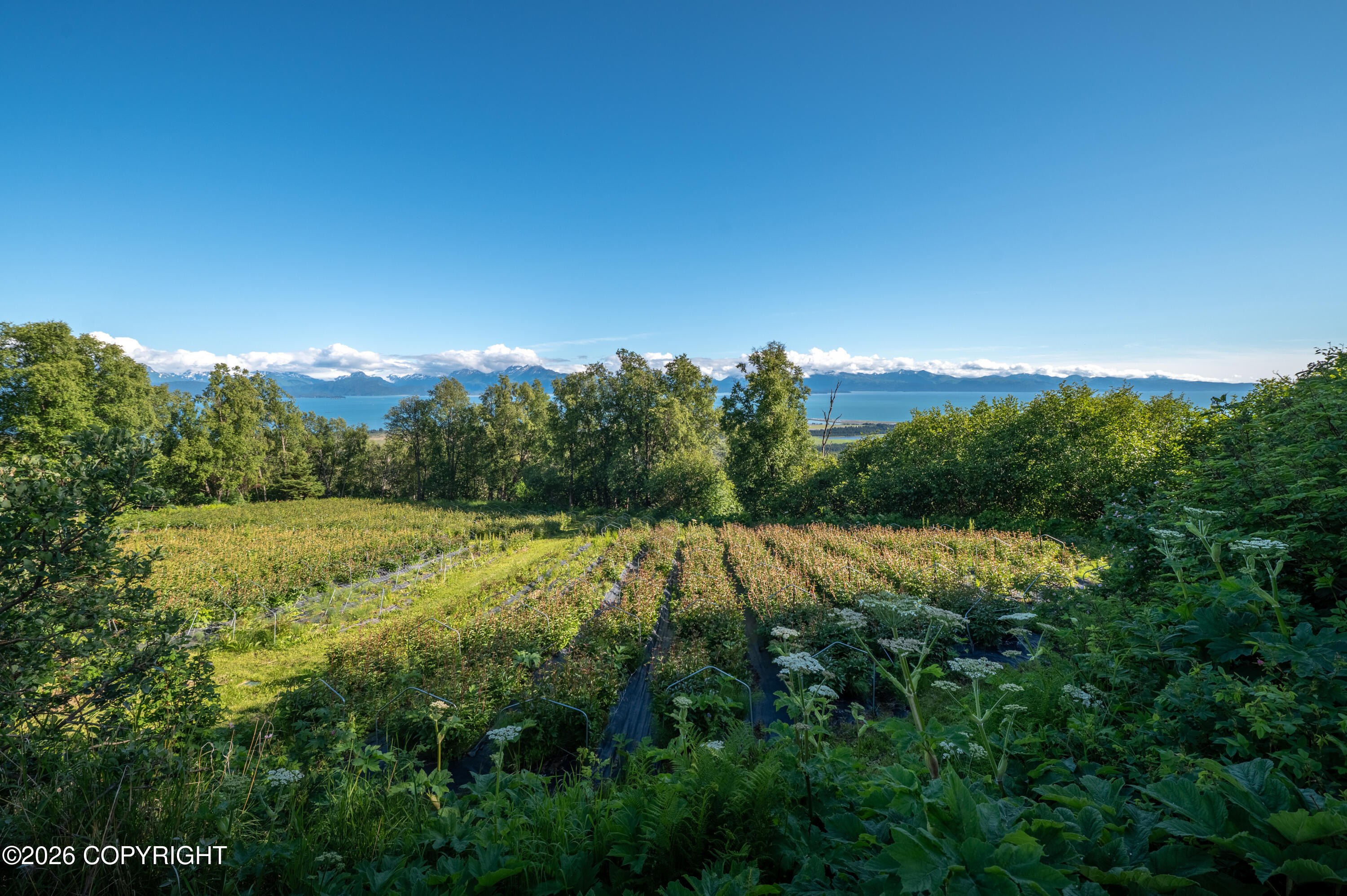 5655 Scenic Place Property Photo 90