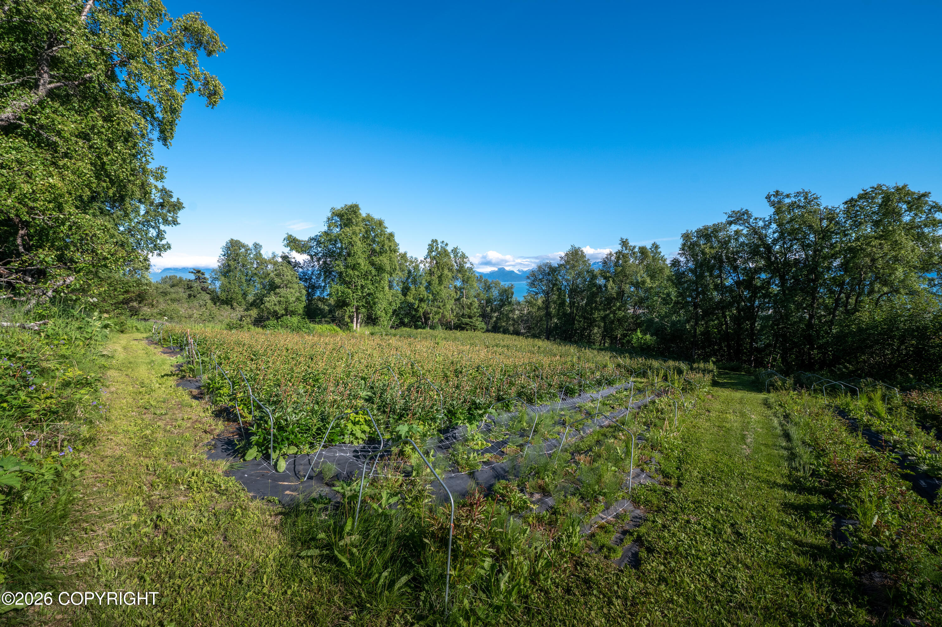 5655 Scenic Place Property Photo 91