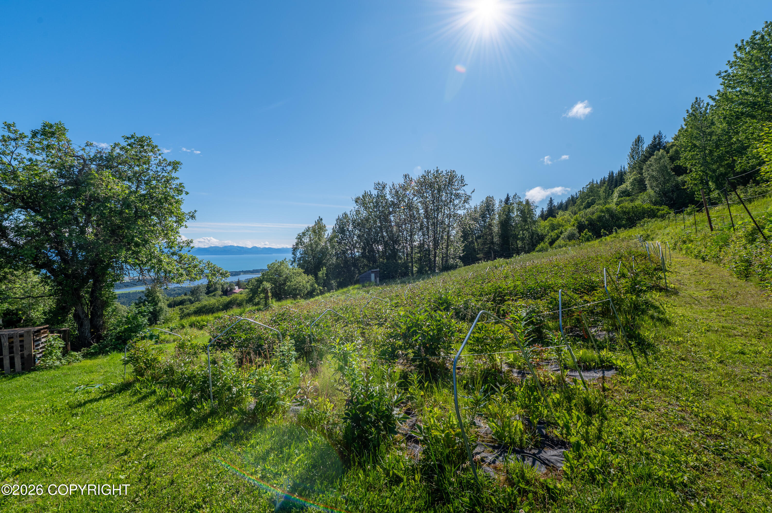 5655 Scenic Place Property Photo 92