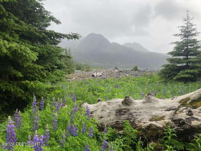 0 Little Johnstone Bay Property Photo 3