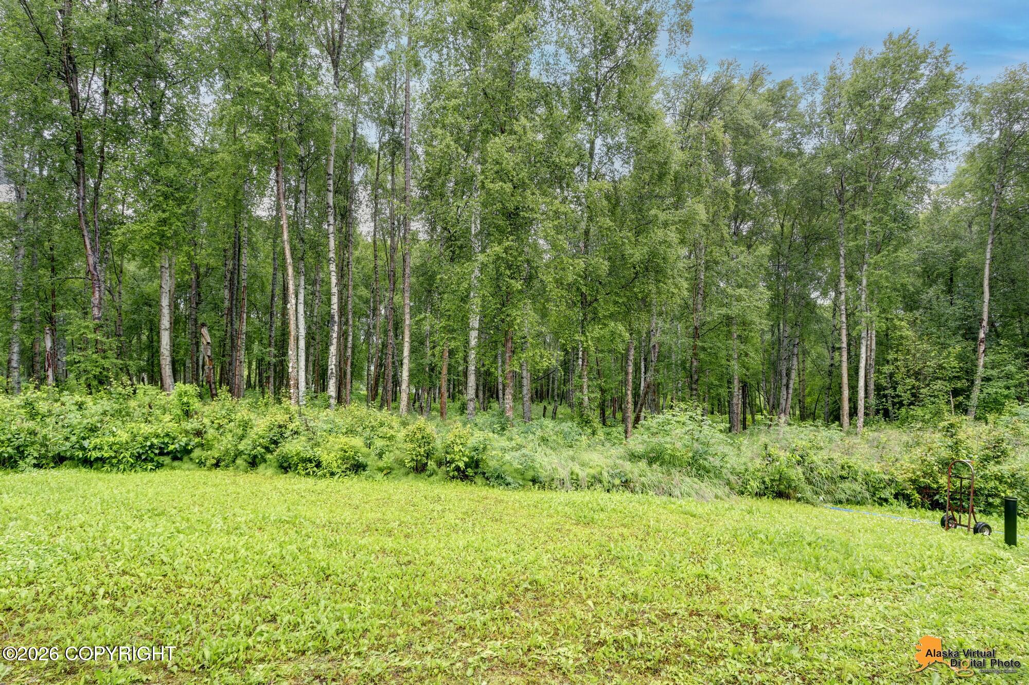 3609 N One Horse Lane Property Photo 46