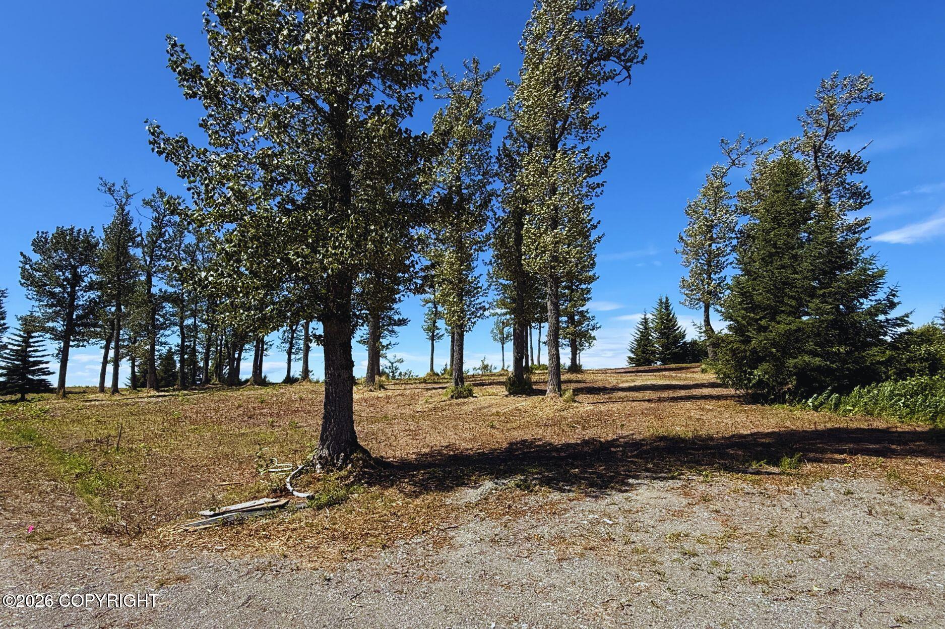 71037 Glud Court Property Photo 4