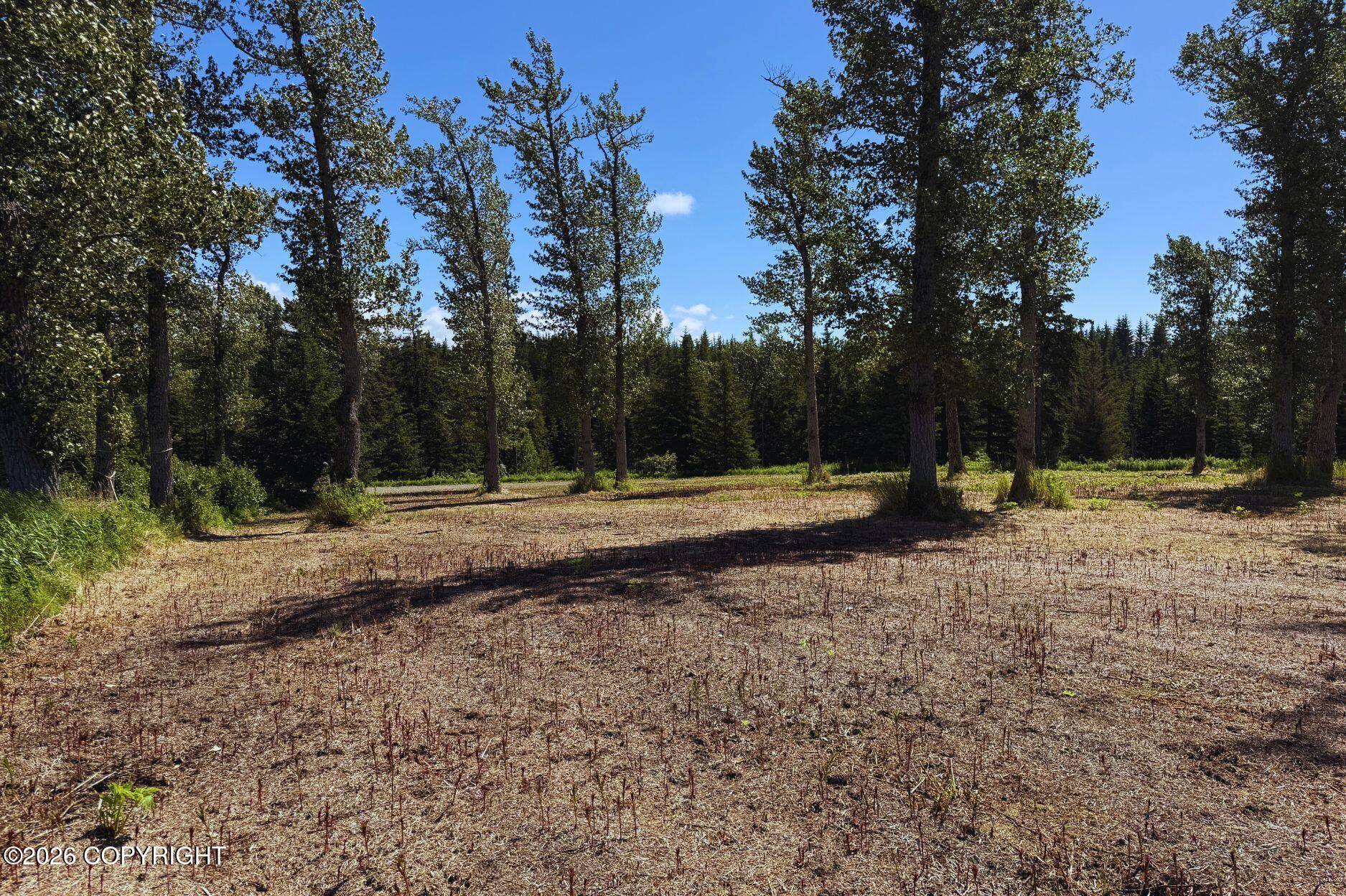 71037 Glud Court Property Photo 6