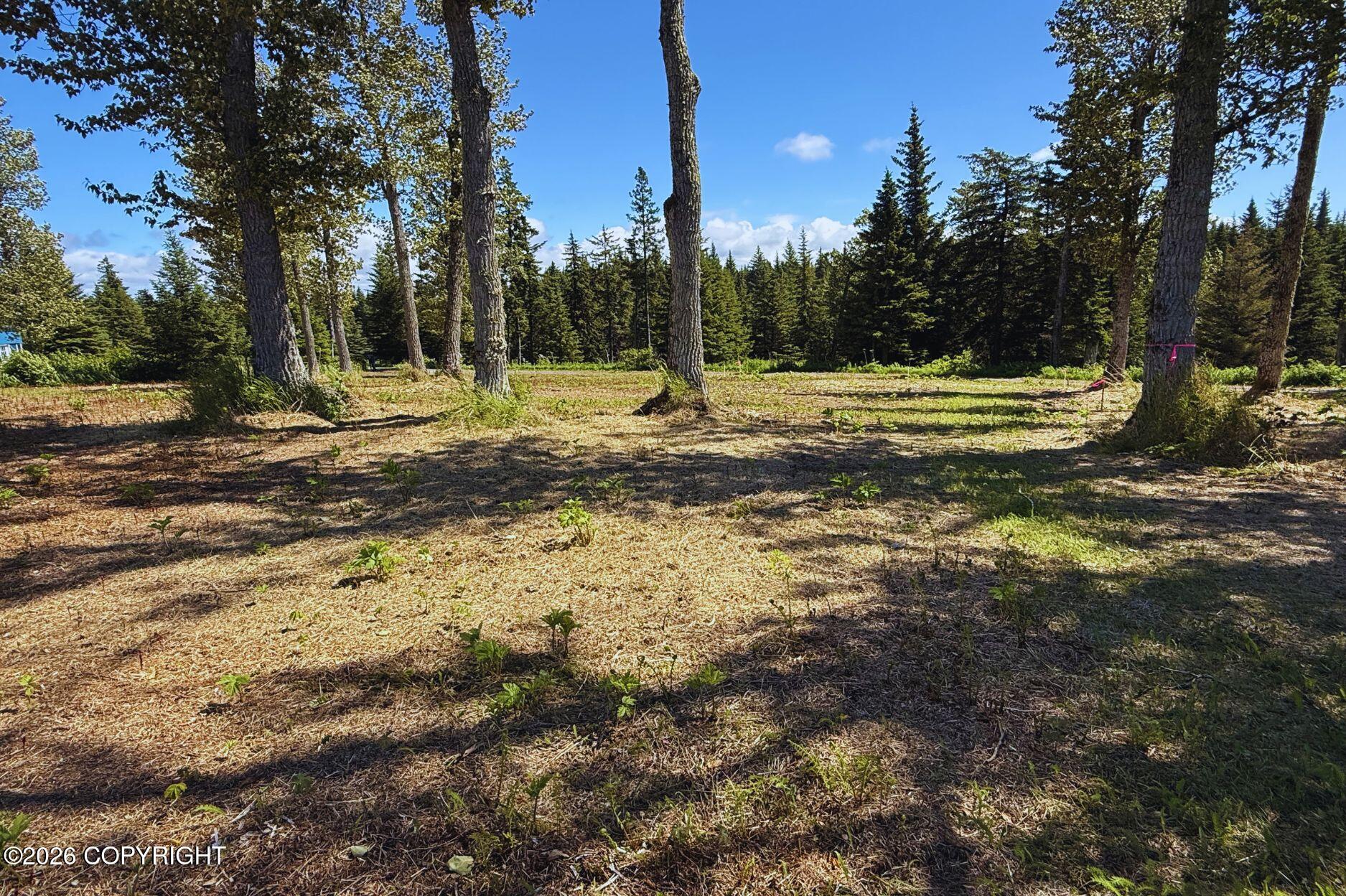 71037 Glud Court Property Photo 11