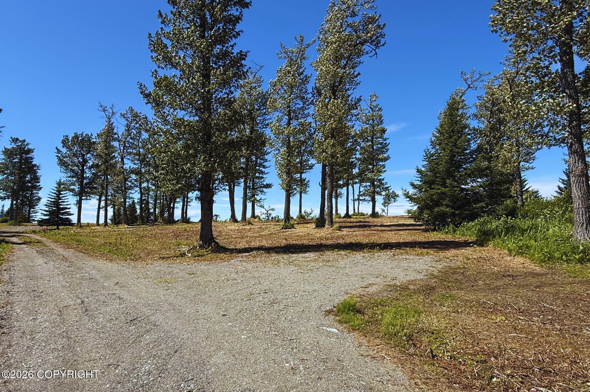 71033 Glud Court Property Photo 4