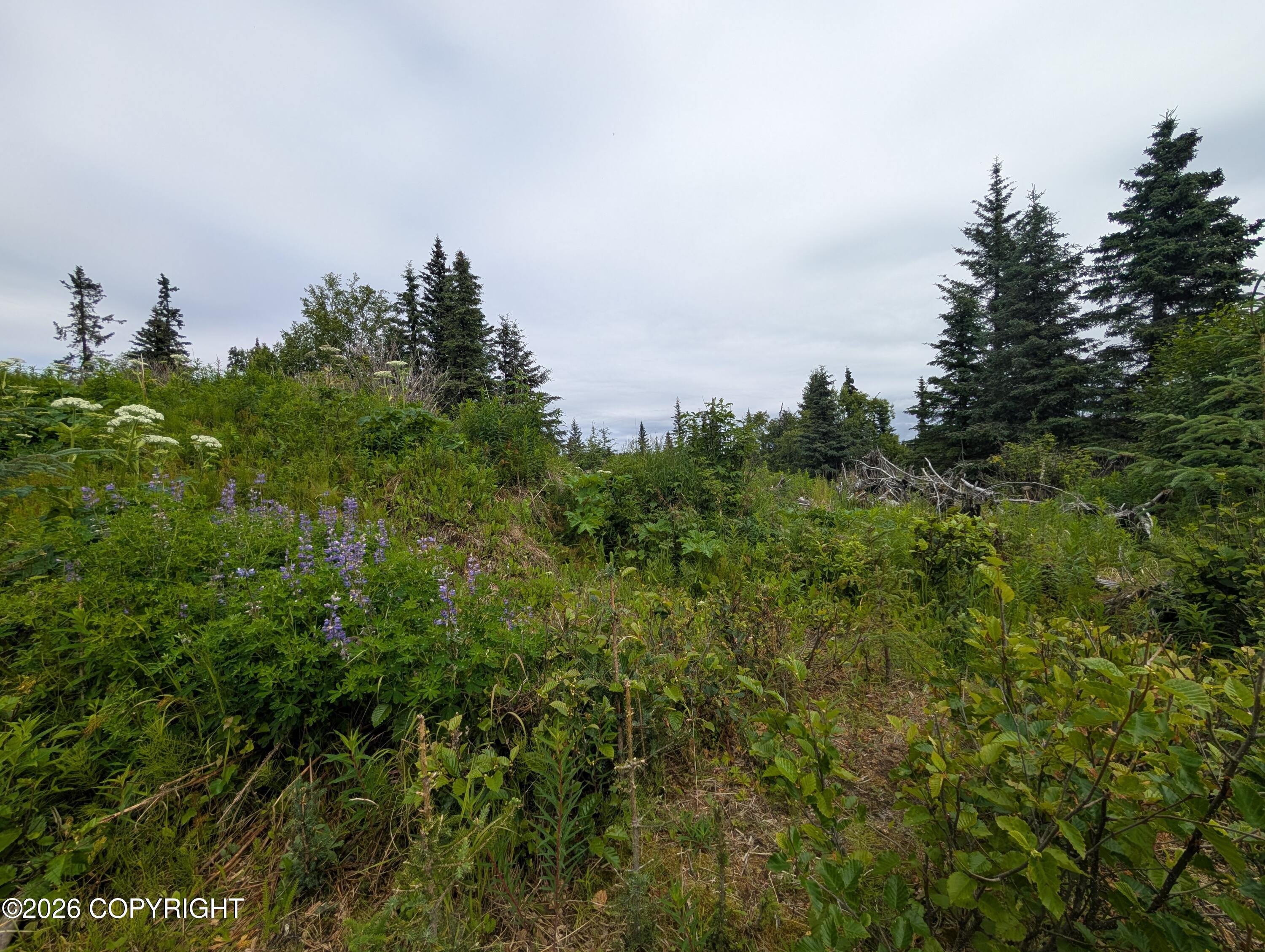 67118 Deep Creek Road Property Photo 2