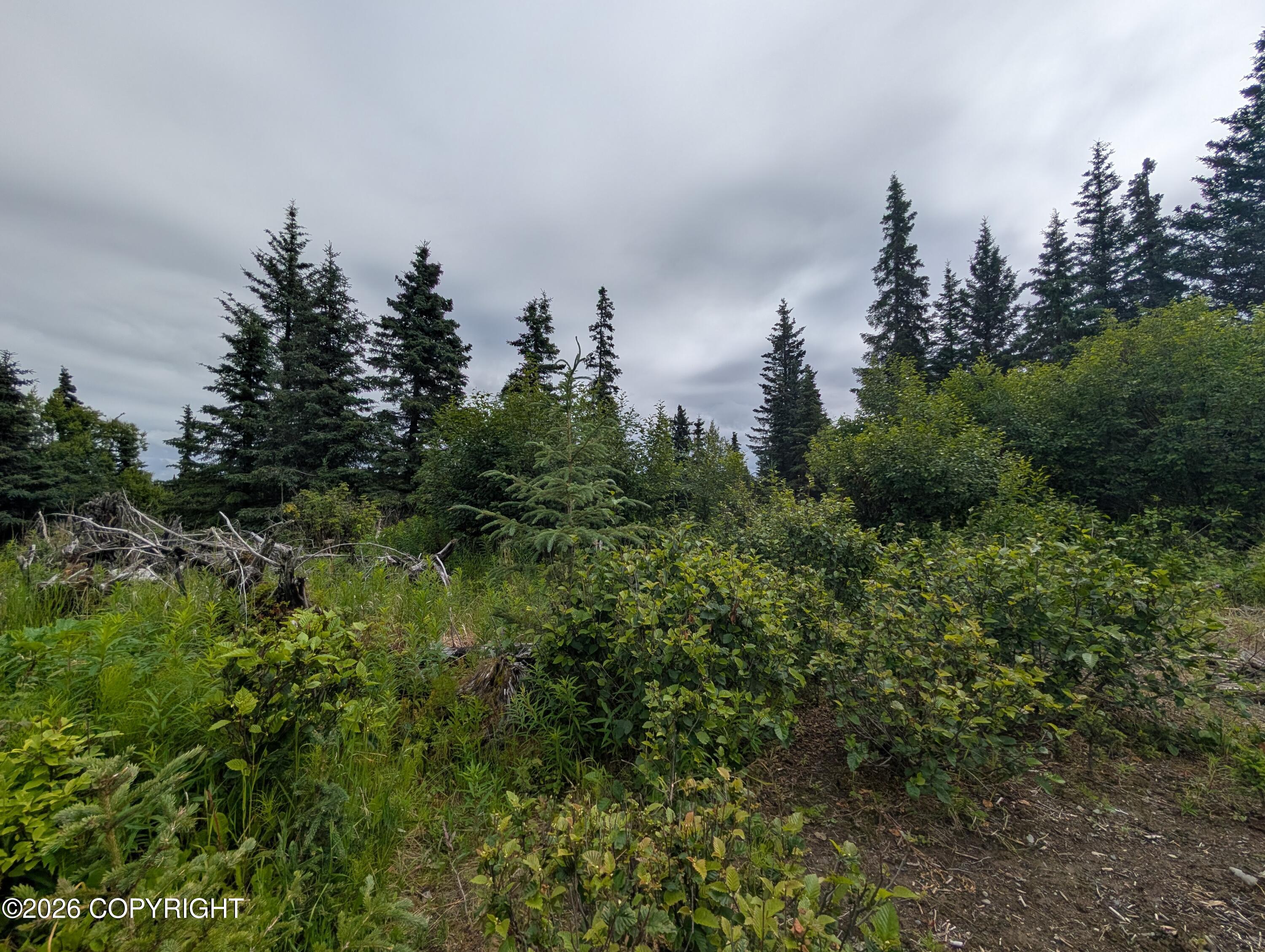 67118 Deep Creek Road Property Photo 3