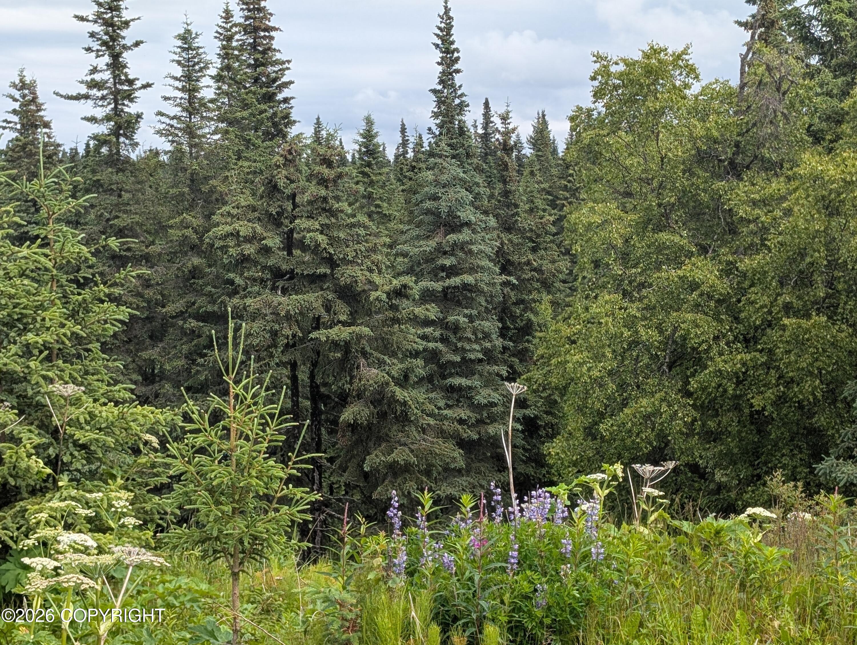 67118 Deep Creek Road Property Photo 4