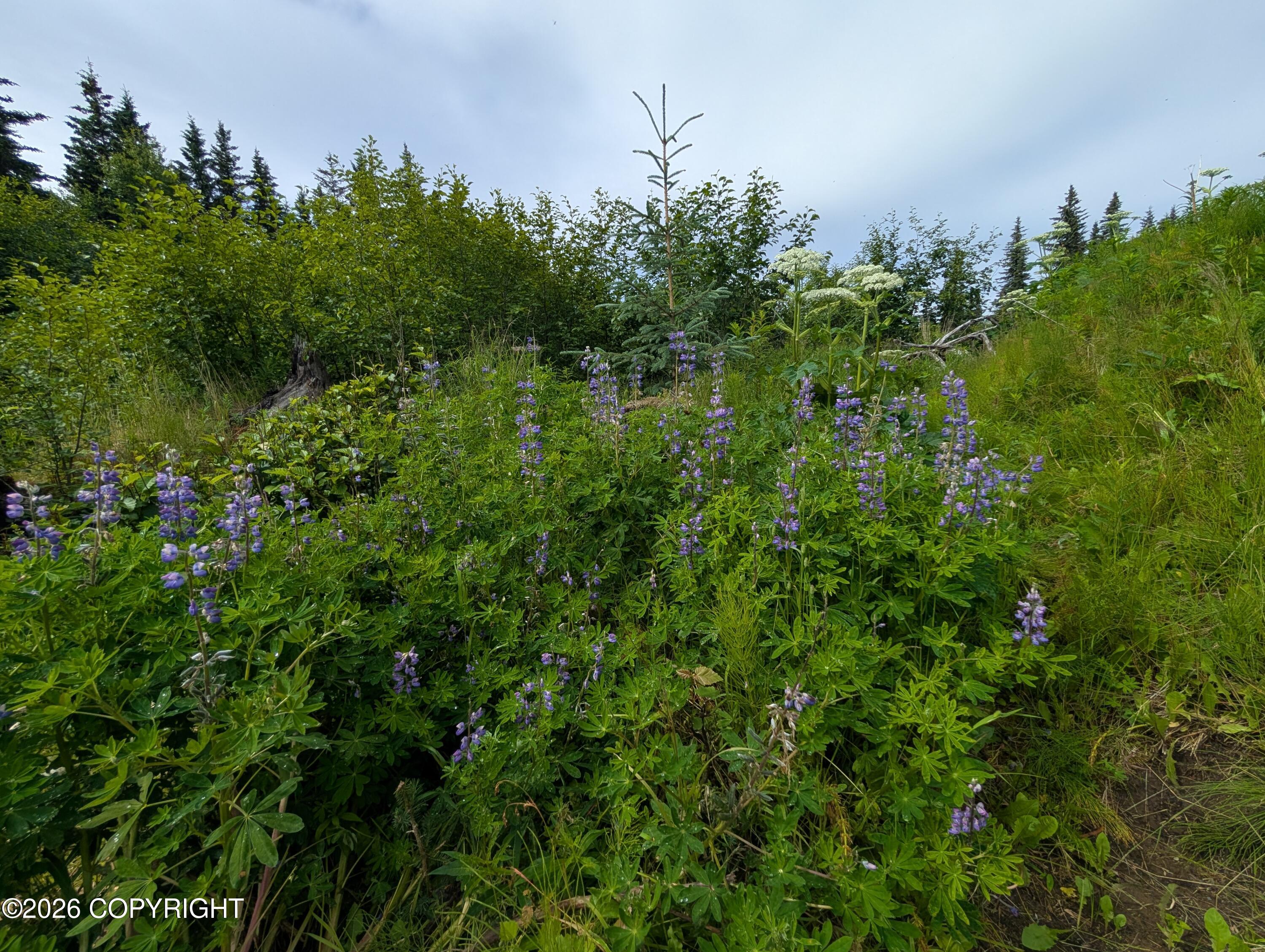 67118 Deep Creek Road Property Photo 5