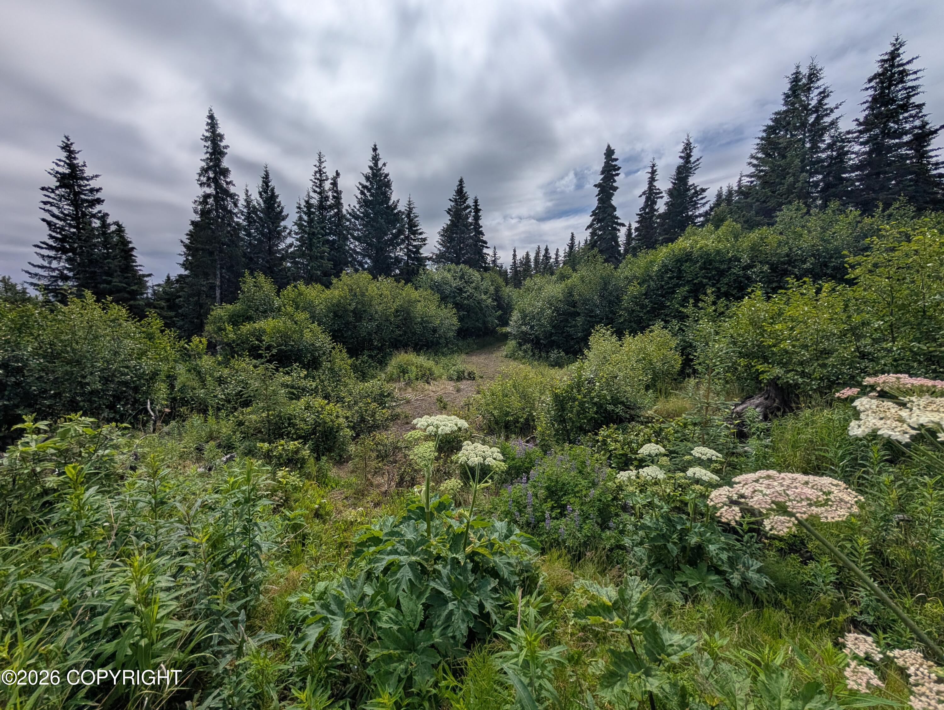 67118 Deep Creek Road Property Photo 6