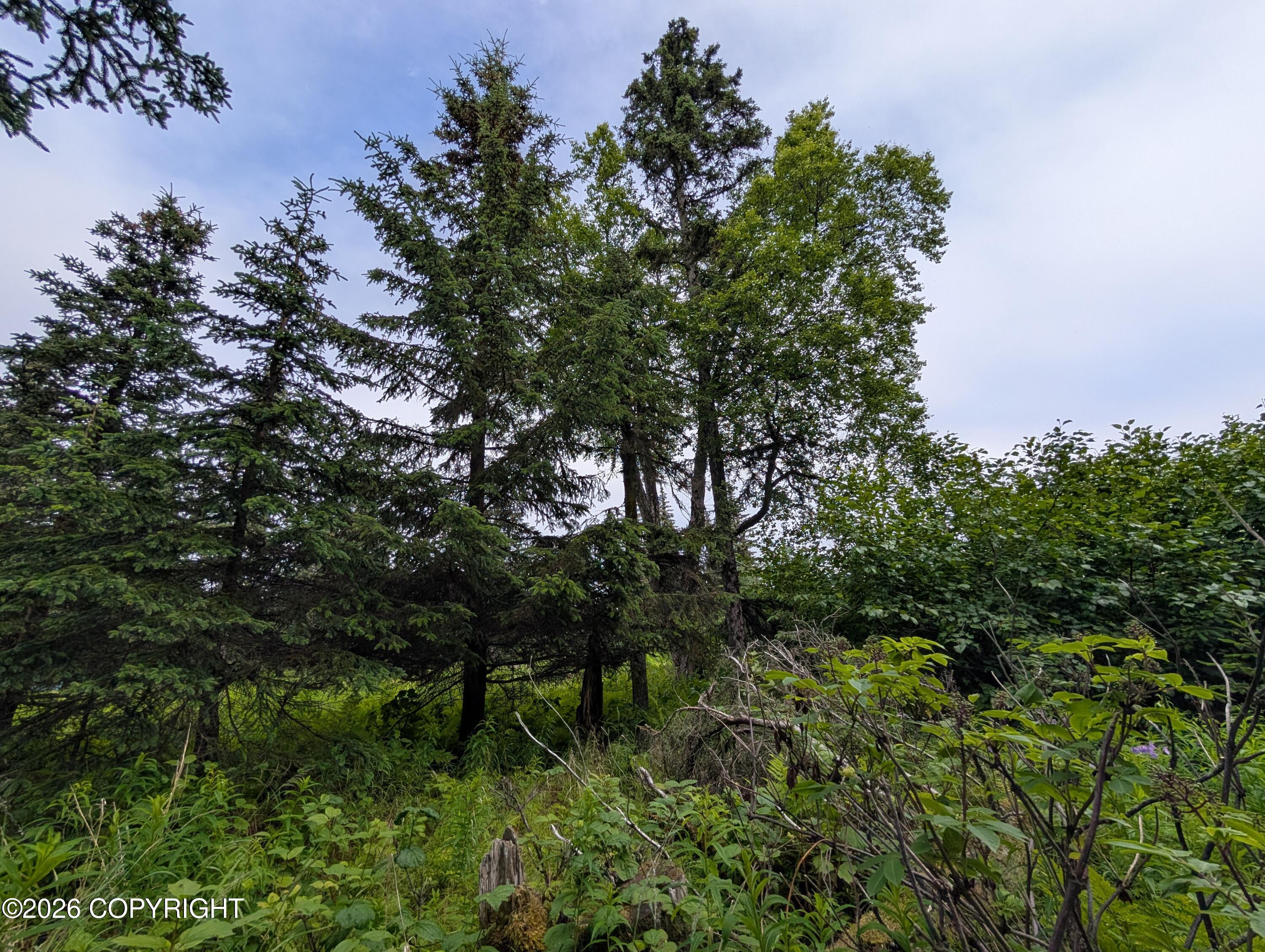 67118 Deep Creek Road Property Photo 7